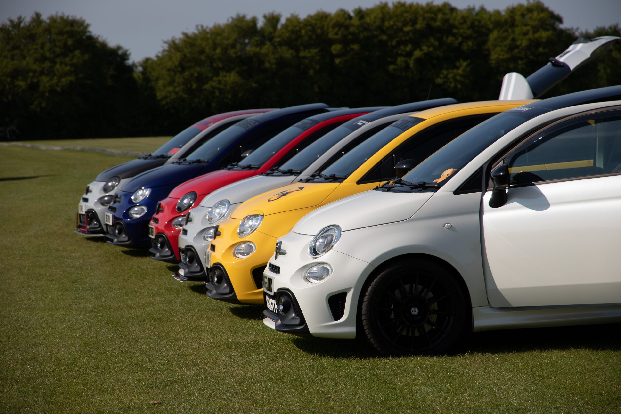 Silver Leys Polo Club - Little Hadham - Hertfordshire - England