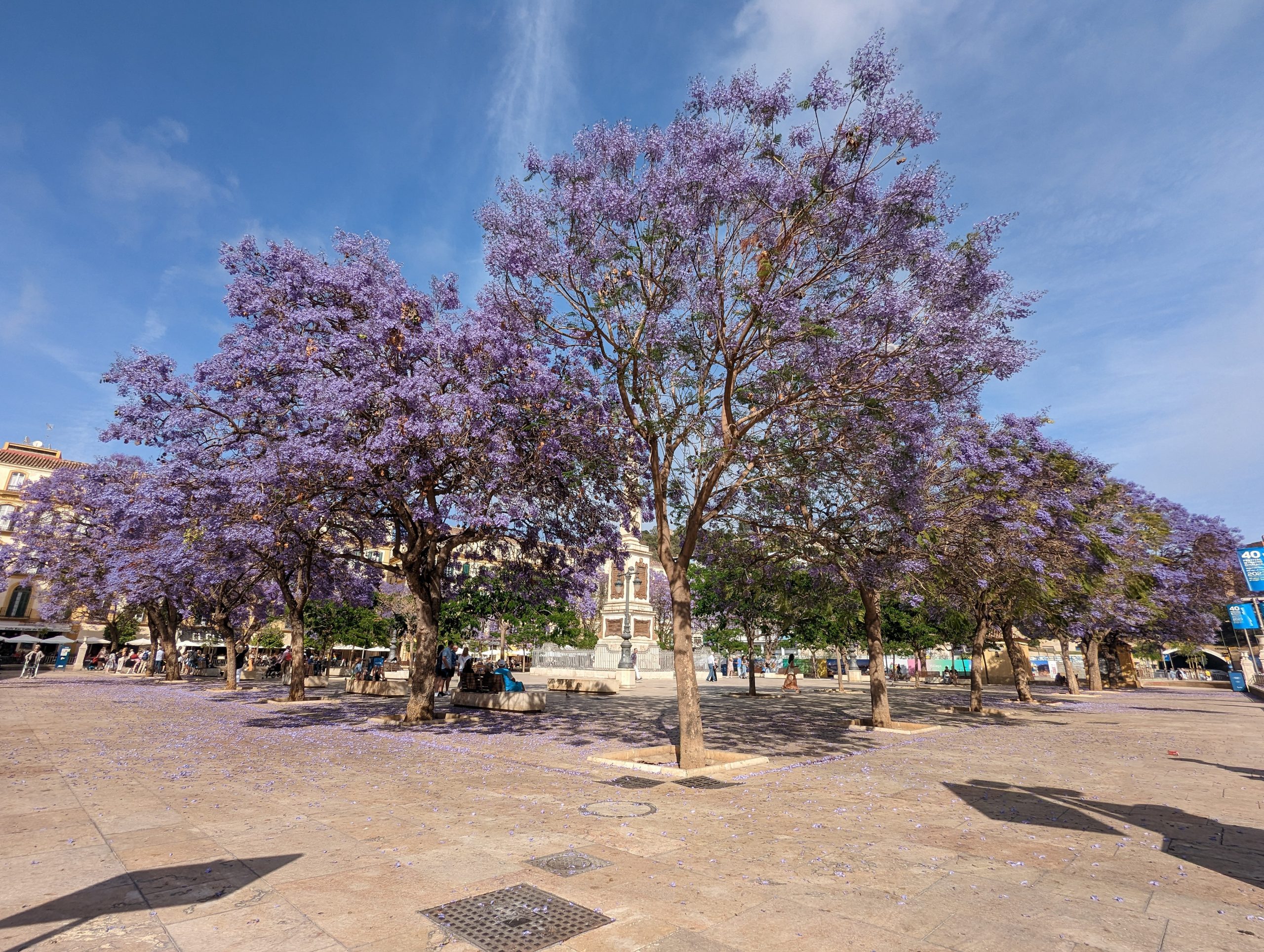 Plaza de la Merced - Málaga - Málaga - Spain