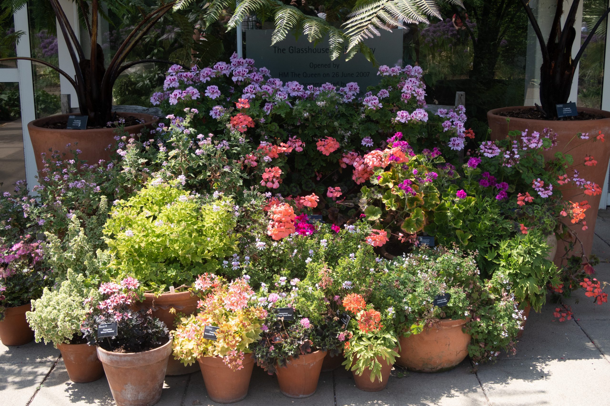 RHS Wisley - Woking - Surrey - England