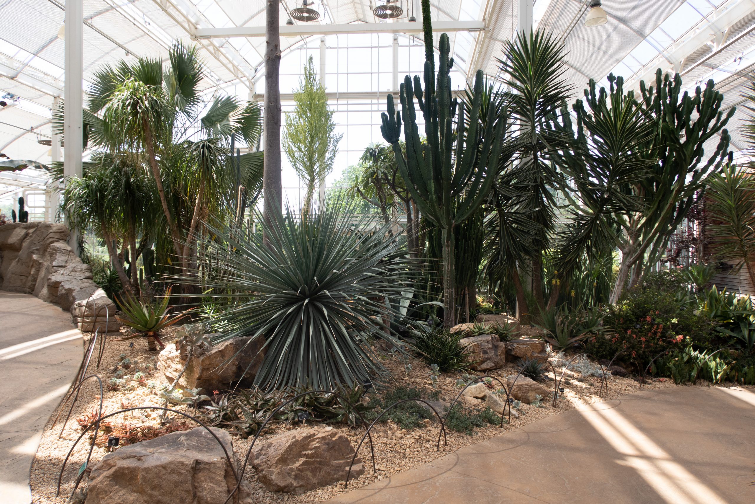 RHS Wisley - Woking - Surrey - England