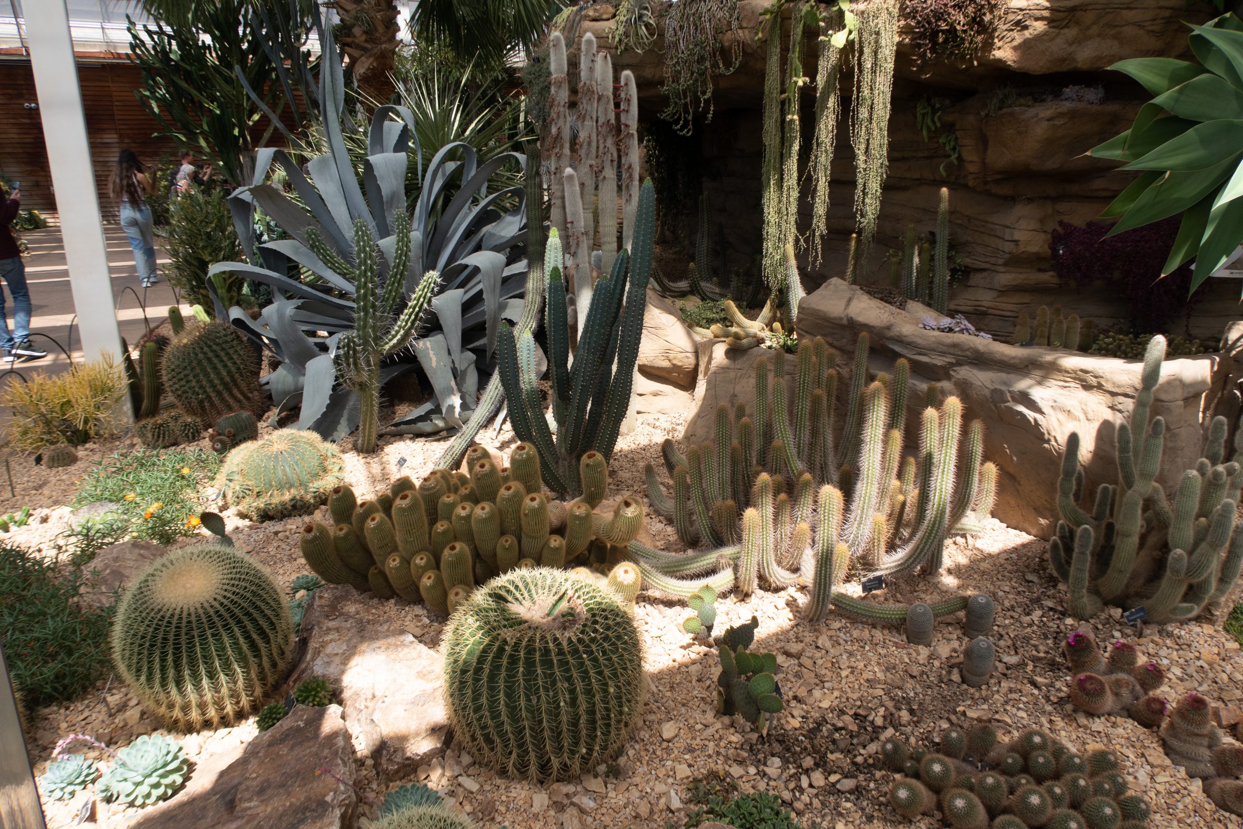 RHS Wisley - Woking - Surrey - England