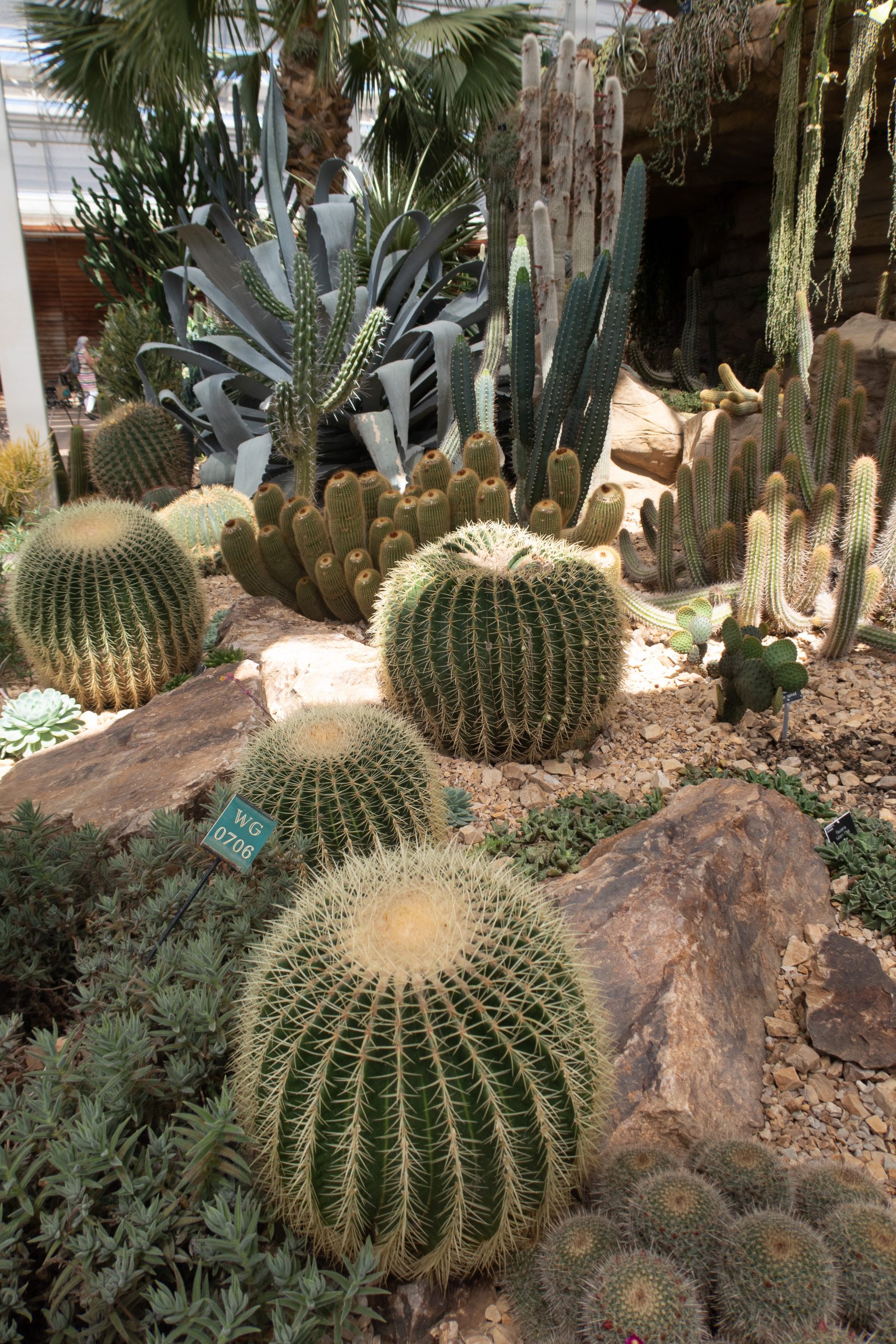RHS Wisley - Woking - Surrey - England