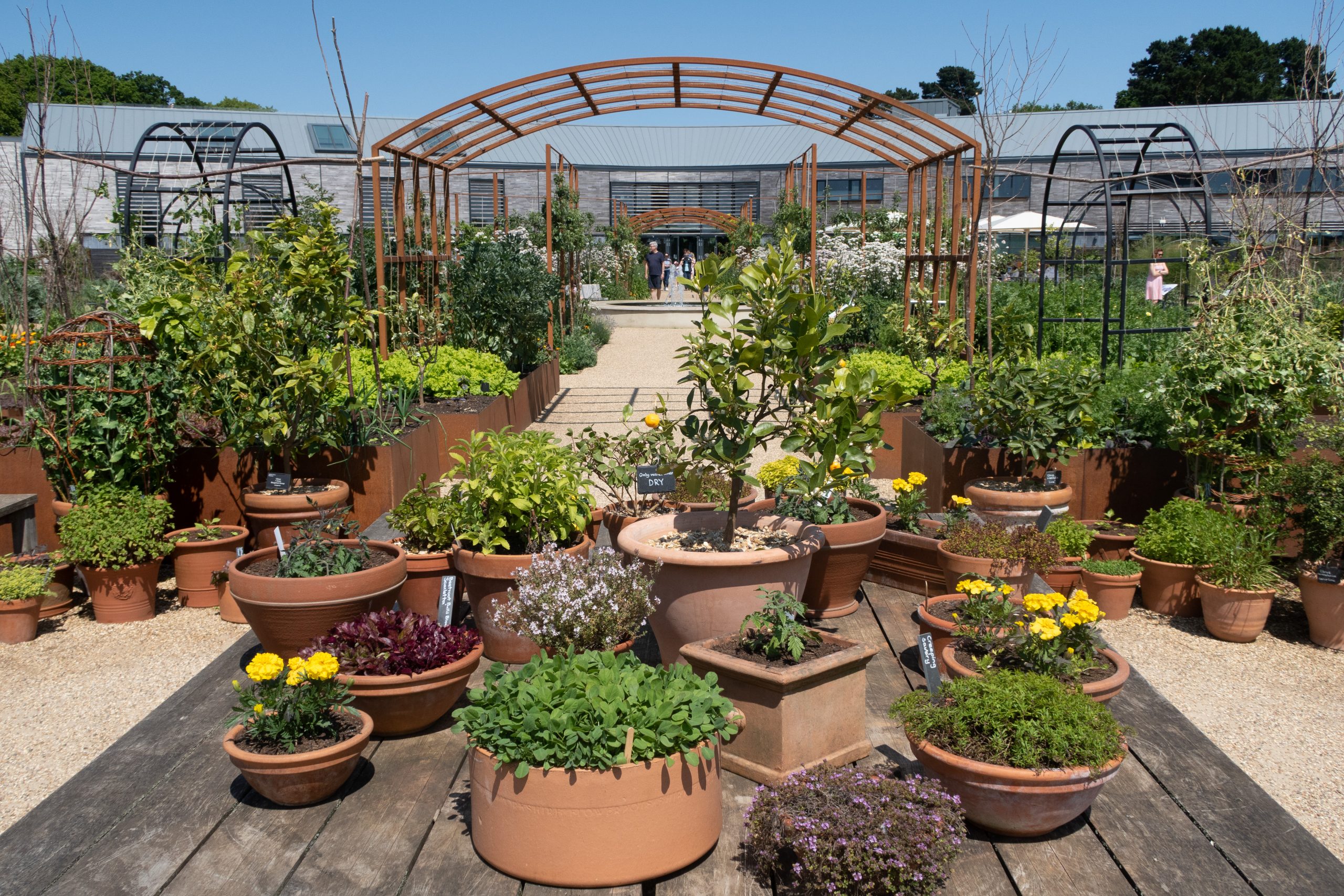 RHS Wisley - Woking - Surrey - England