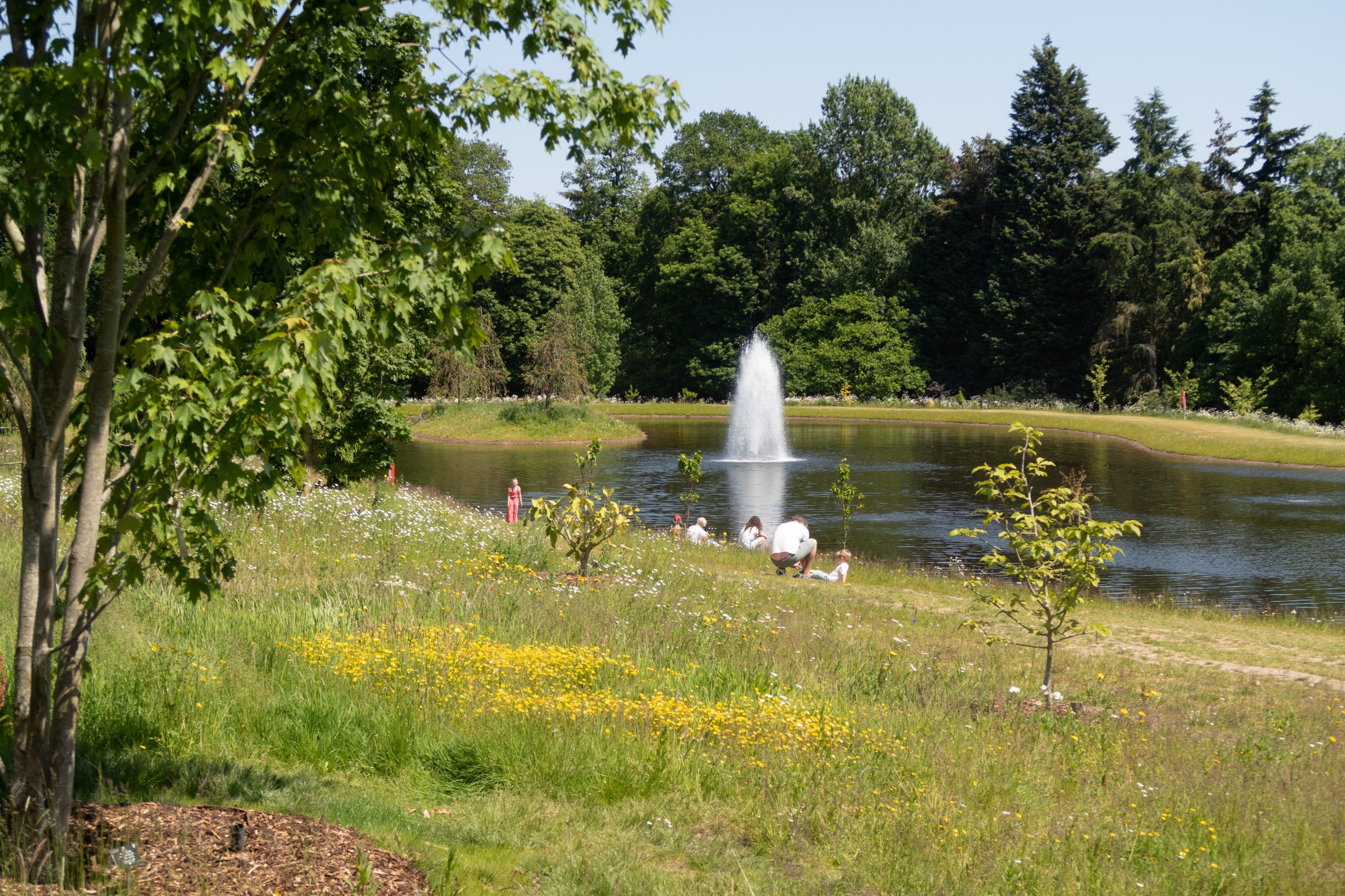 RHS Wisley - Woking - Surrey - England