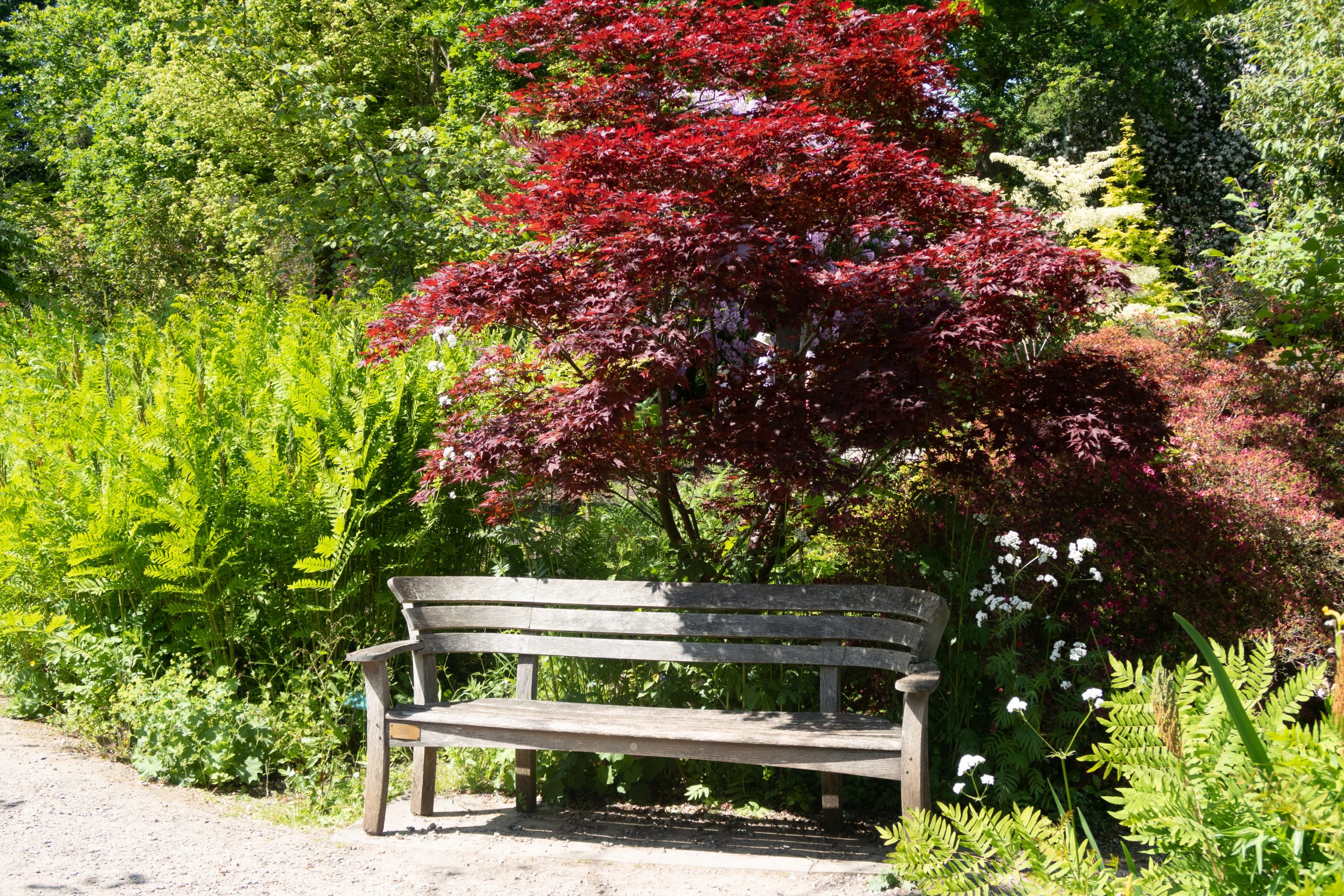 RHS Wisley - Woking - Surrey - England