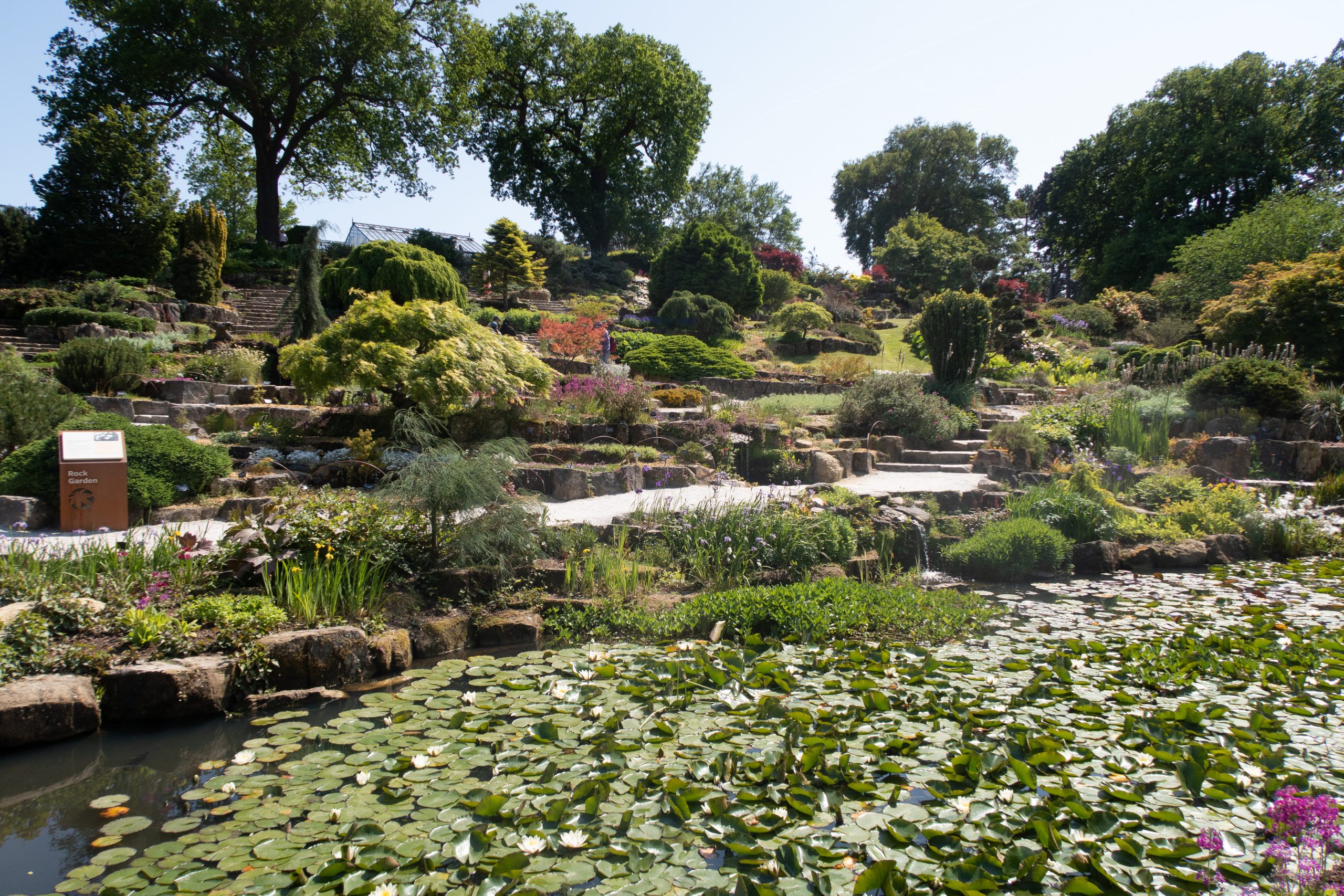 RHS Wisley - Woking - Surrey - England