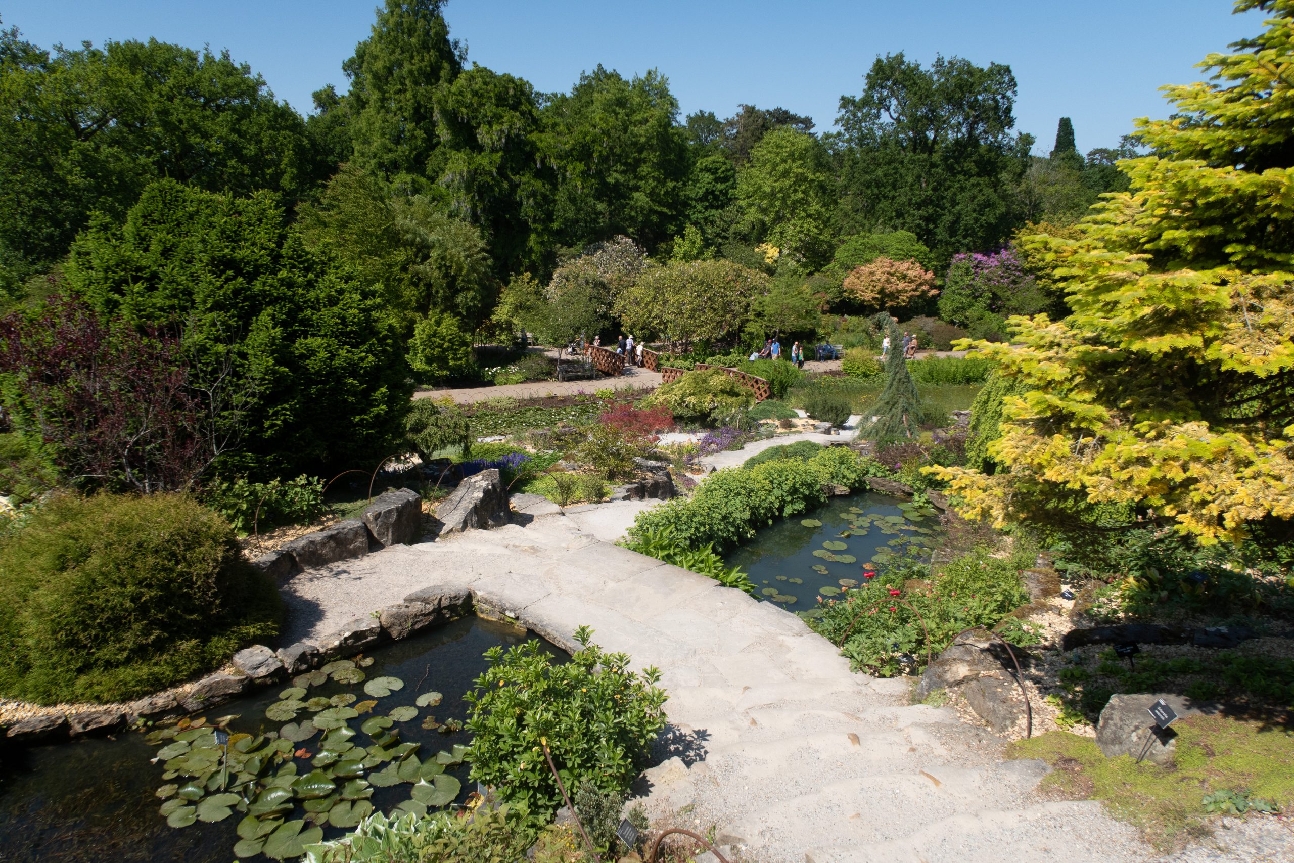 RHS Wisley - Woking - Surrey - England