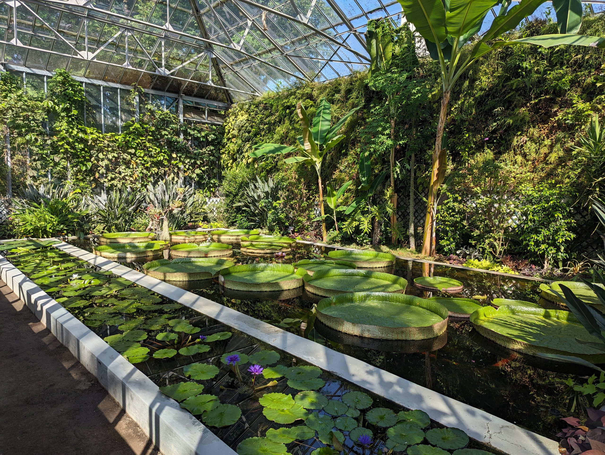 Giardini Botanici di Villa Taranto - Verbania - Piedmont - Italy