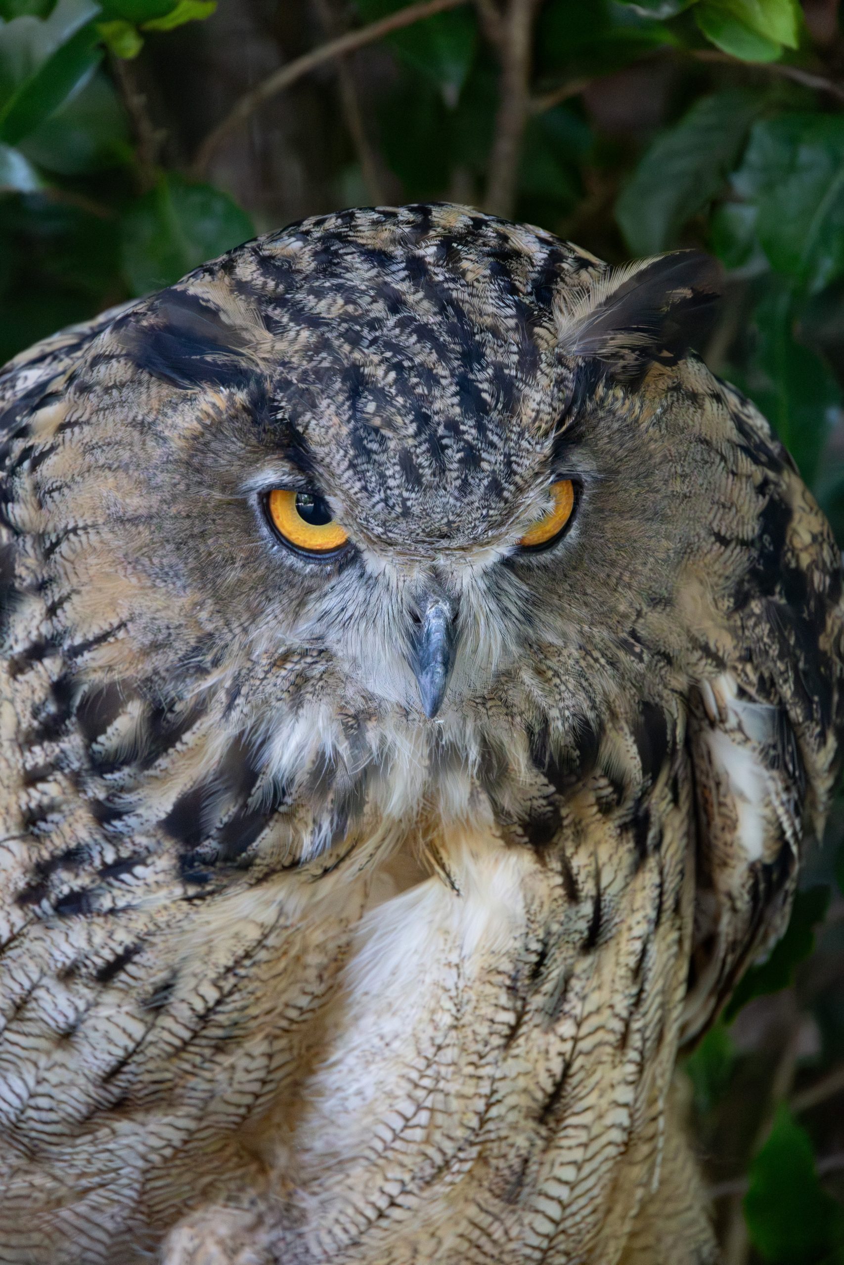 Parco Pallavicino - Stresa - Piedmont - Italy