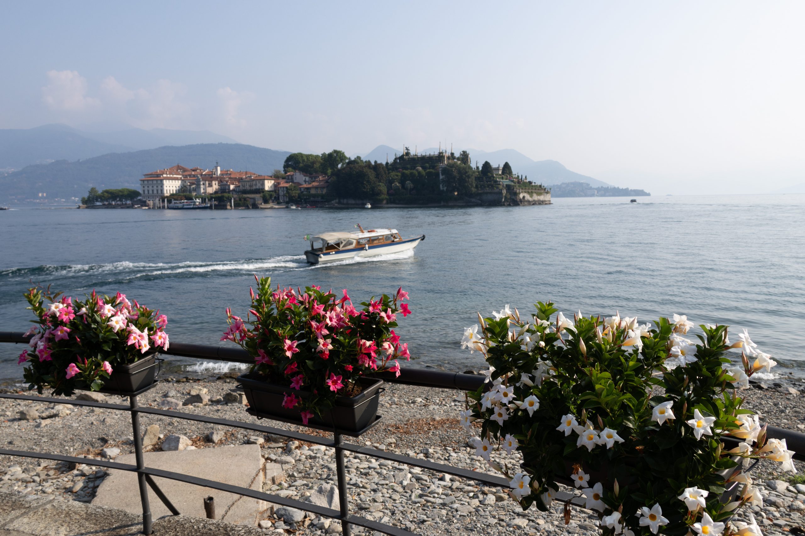 Isola Bella - Carciano - Piedmont - Italy