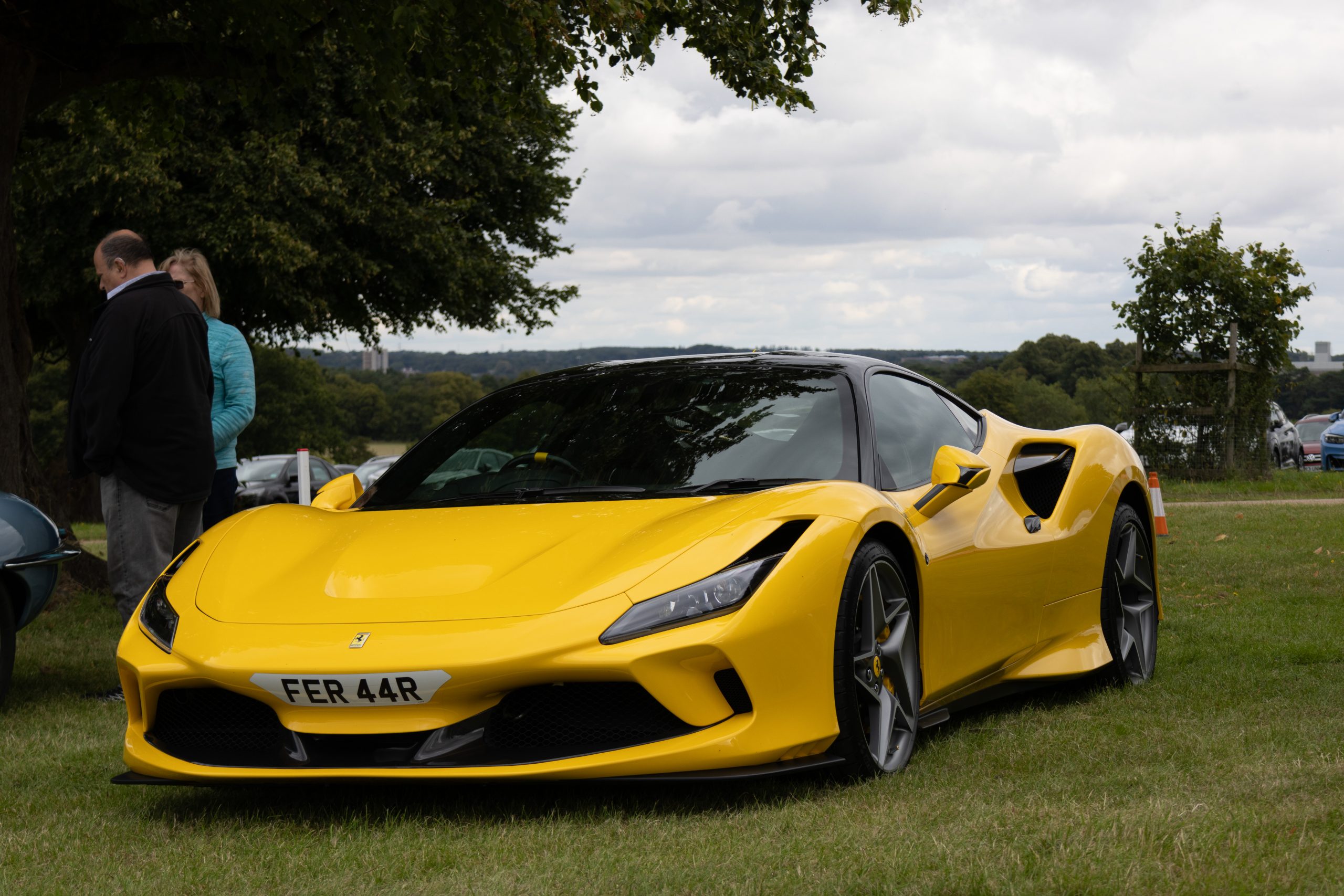 Knebworth Park - Stevenage - Hertfordshire - England