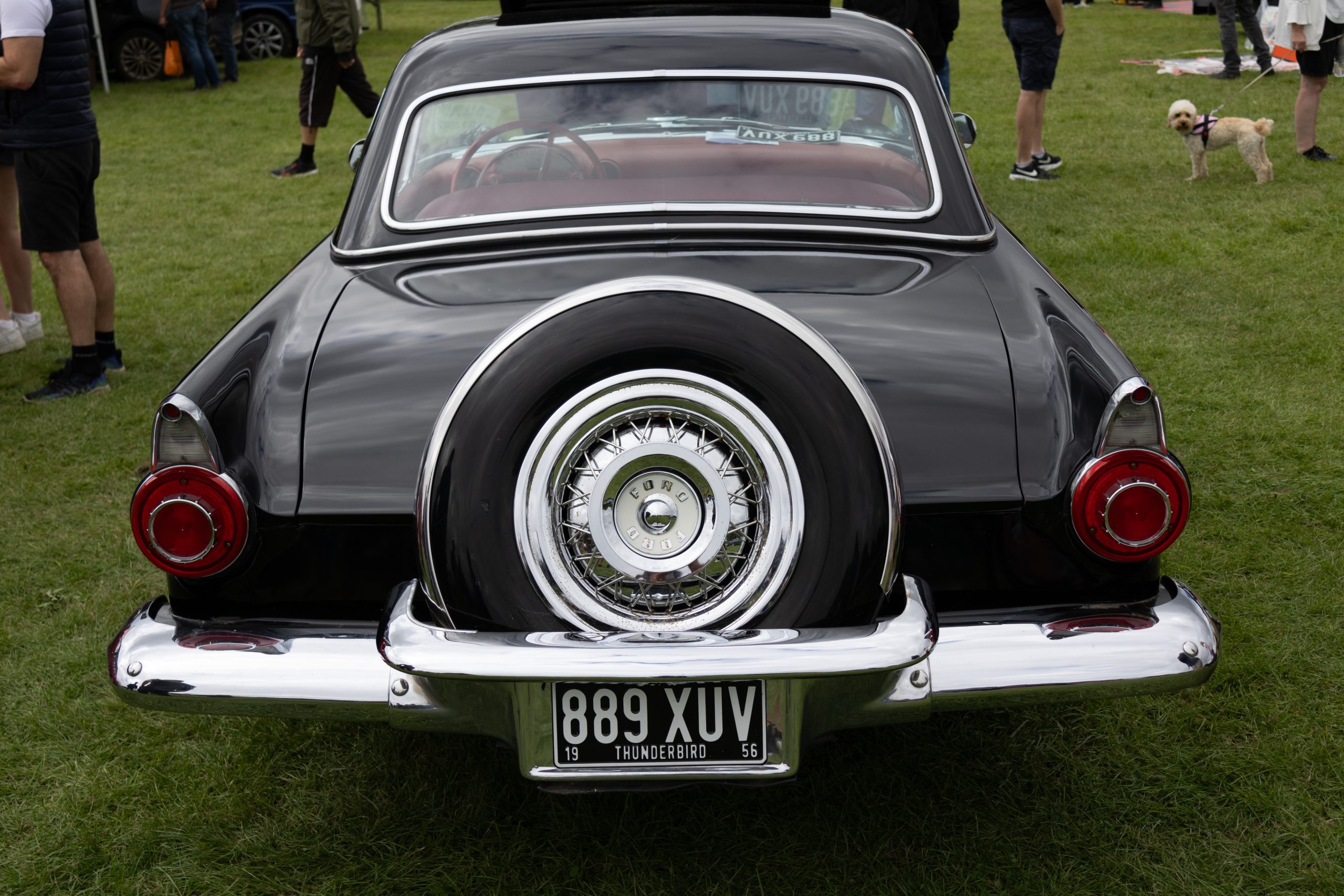 Knebworth Park - Stevenage - Hertfordshire - England