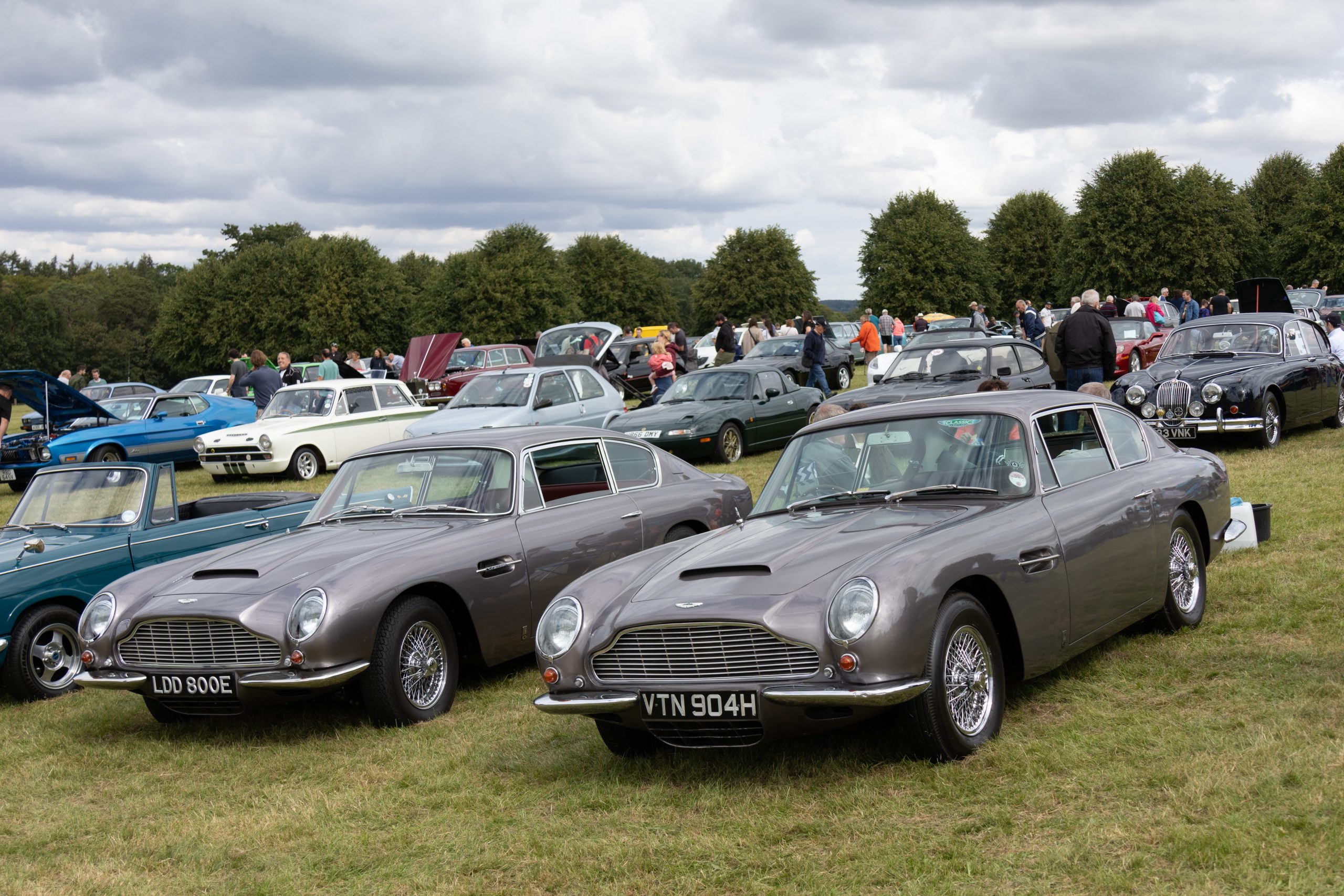 Knebworth Park - Stevenage - Hertfordshire - England