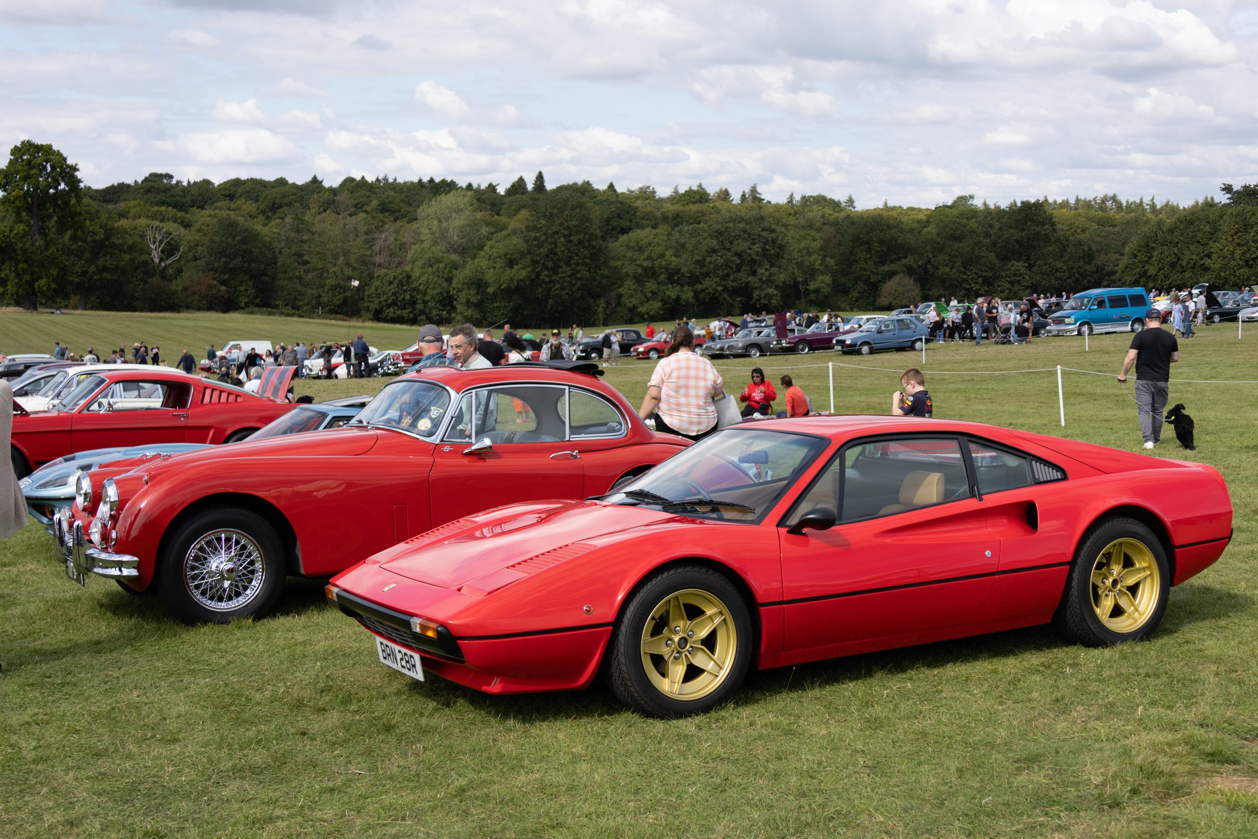 Knebworth Park - Stevenage - Hertfordshire - England