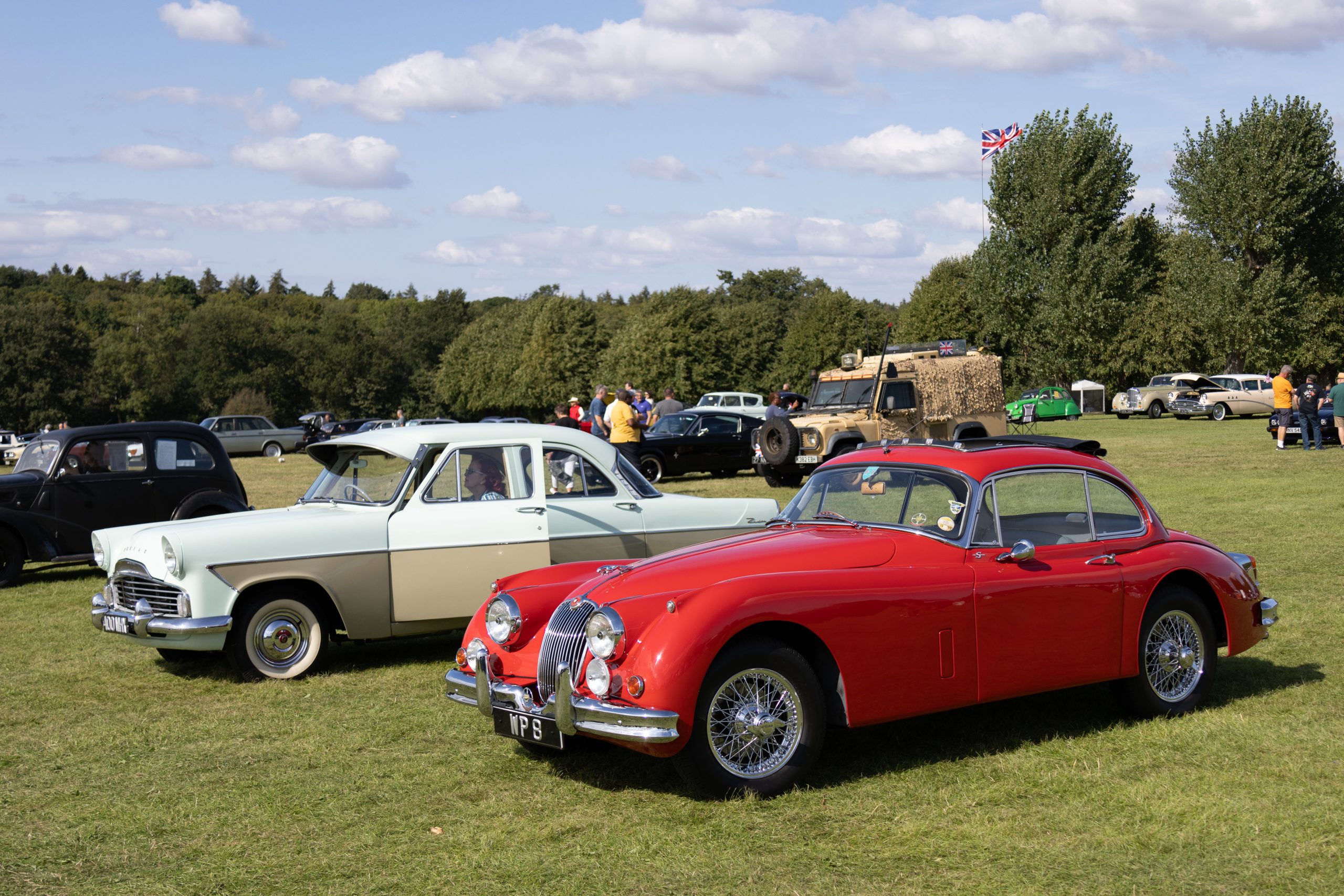 Knebworth Park - Stevenage - Hertfordshire - England