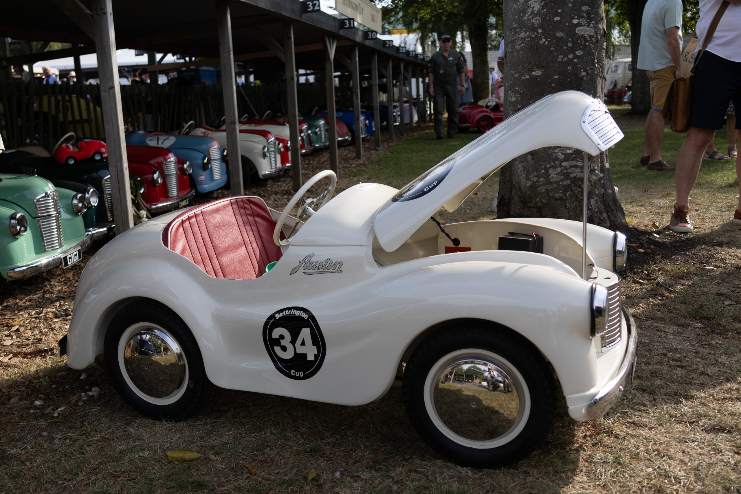 Goodwood Motor Circuit - Chichester - West Sussex - England