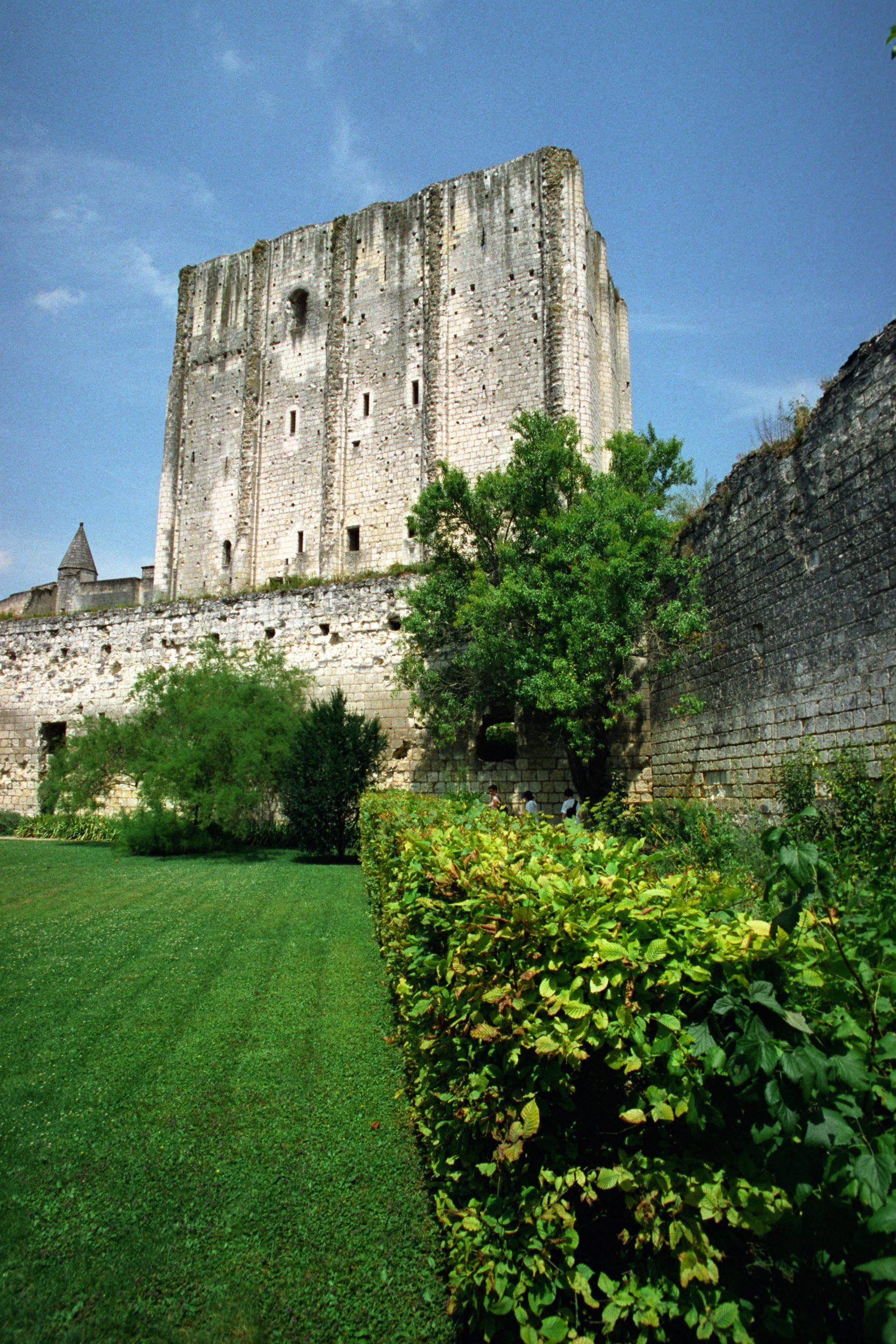 Château de Loches - Loches - Indre-et-Loire - France