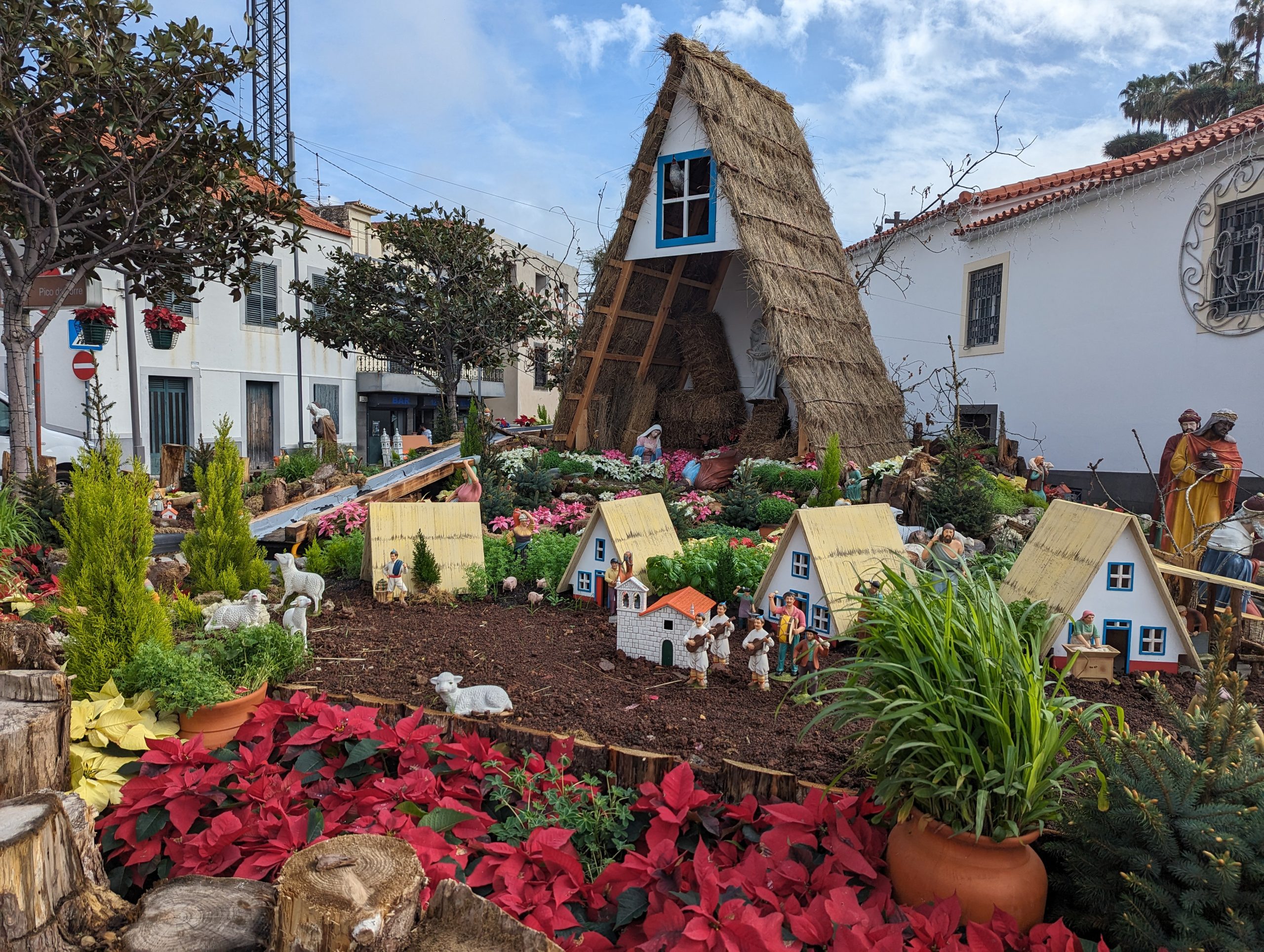 - Câmara de Lobos - Madeira - Portugal