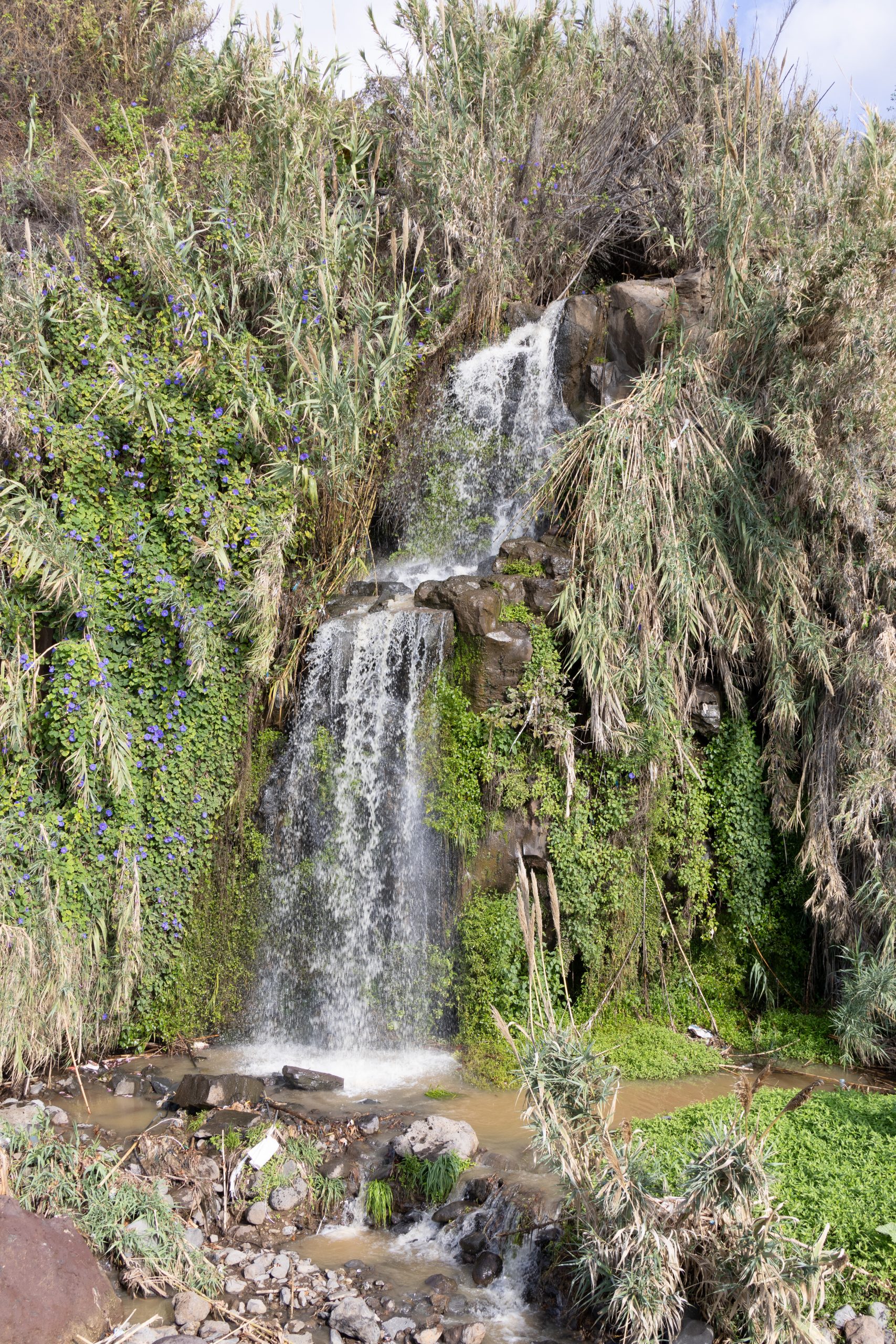 Praia Formosa - Funchal - Madeira - Portugal