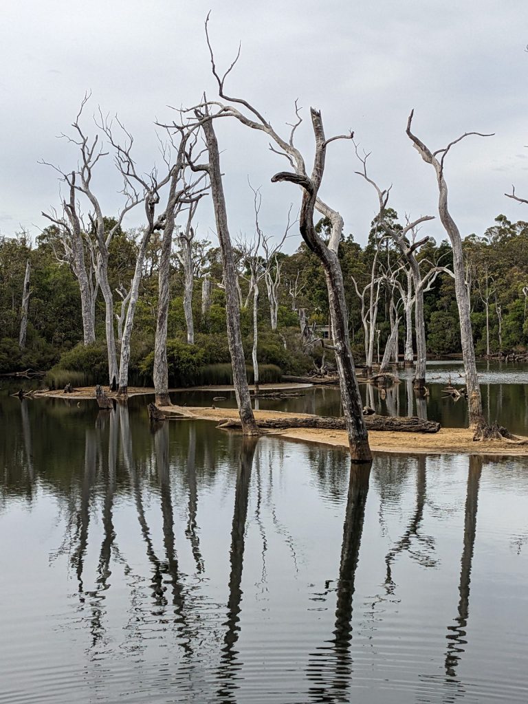 Warperup Creek - Margaret River - Western Australia - Australia
