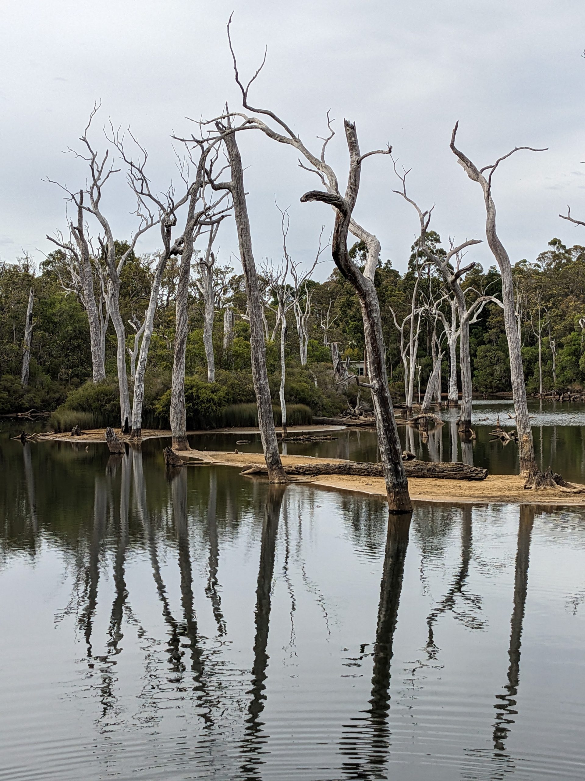 Warperup Creek - Margaret River - Western Australia - Australia