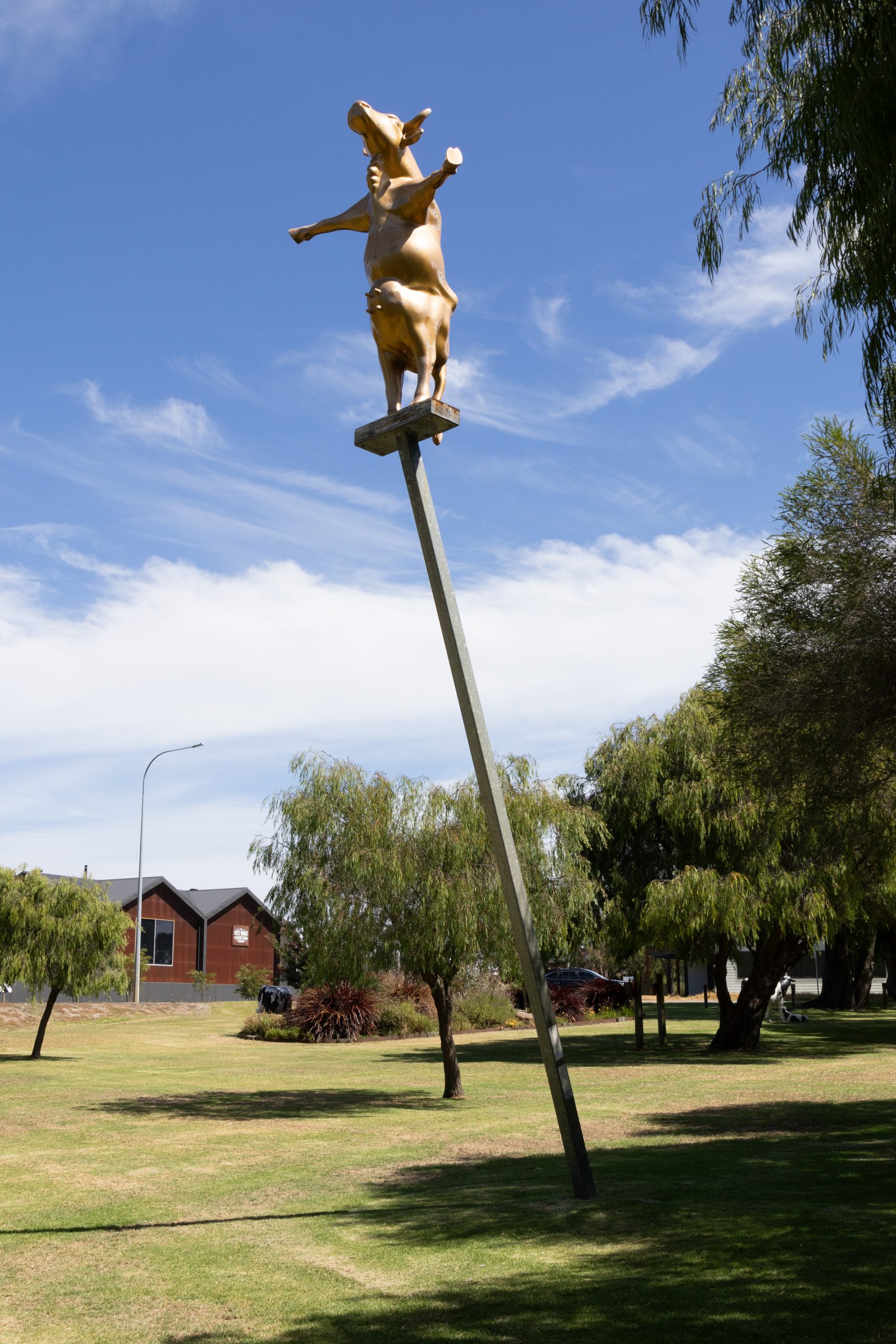 - Cowaramup - Western Australia - Australia