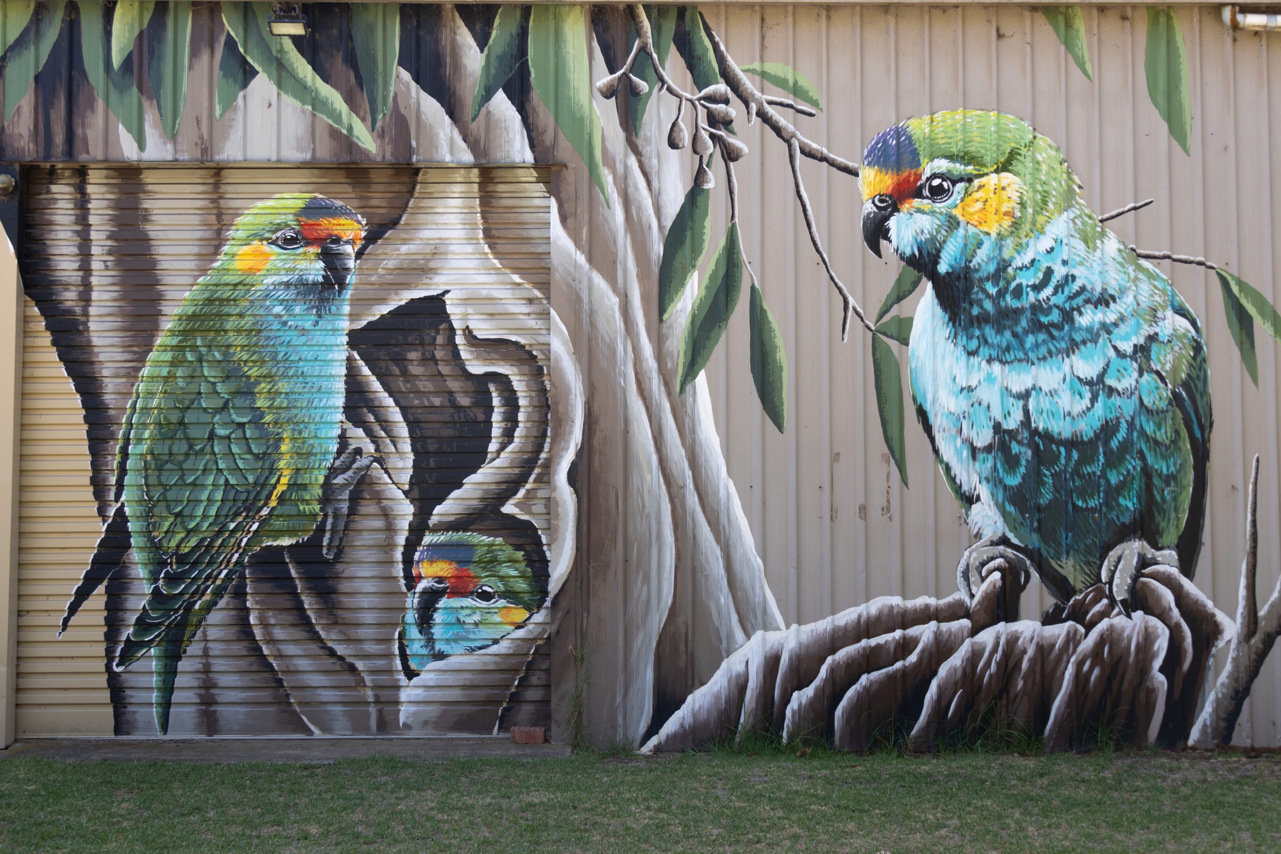 - Cowaramup - Western Australia - Australia