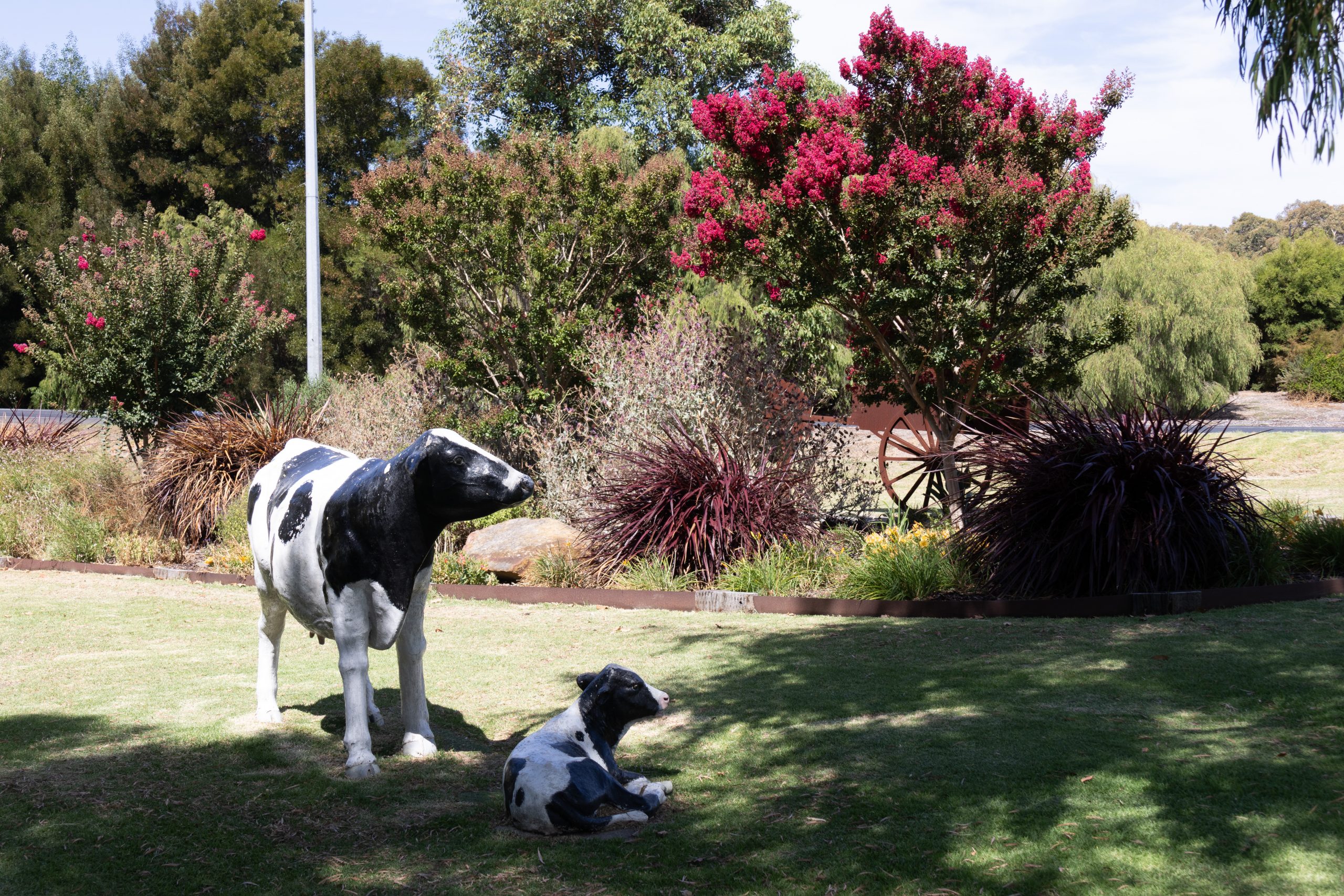 - Cowaramup - Western Australia - Australia