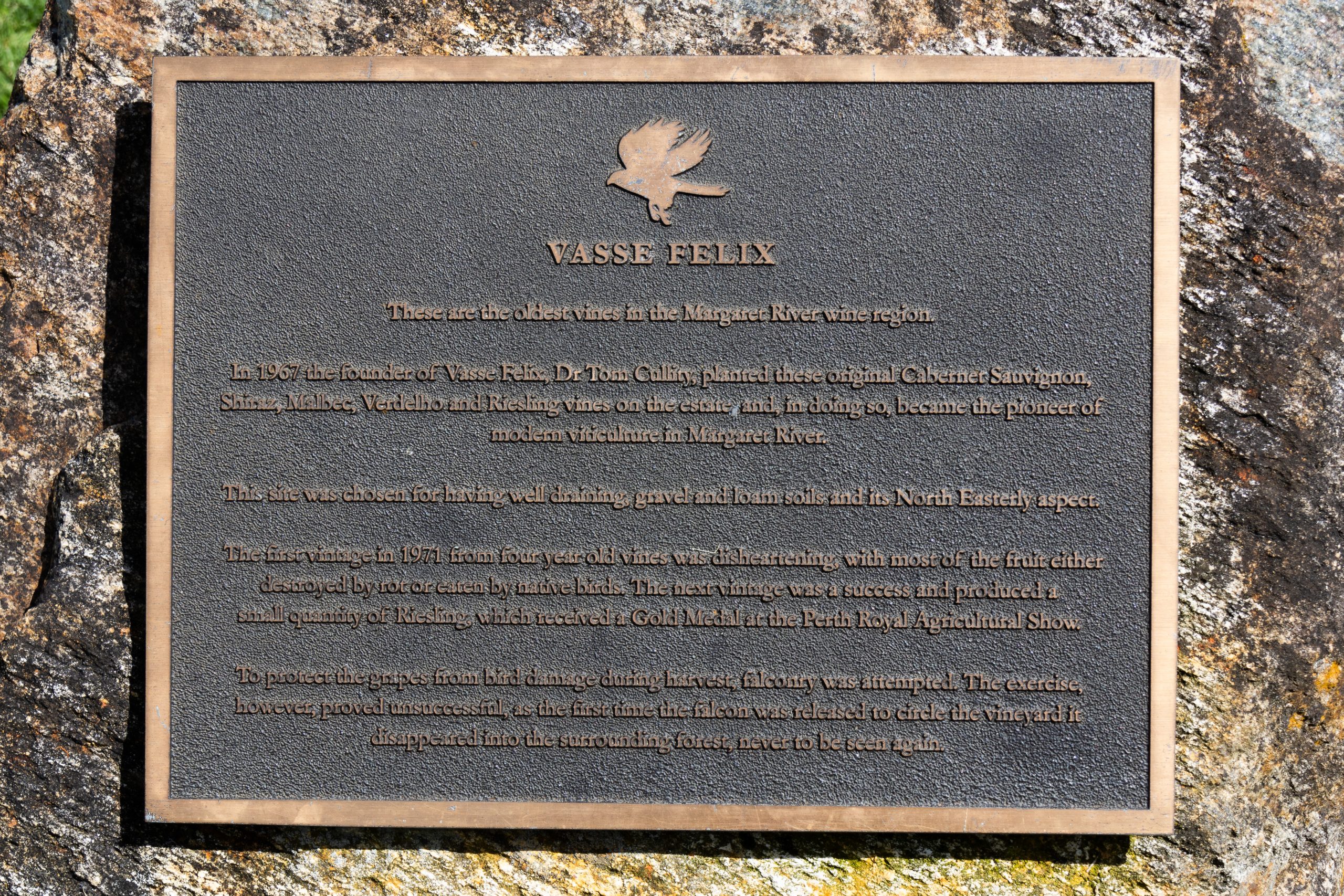 Vasse Felix - Cowaramup - Western Australia - Australia