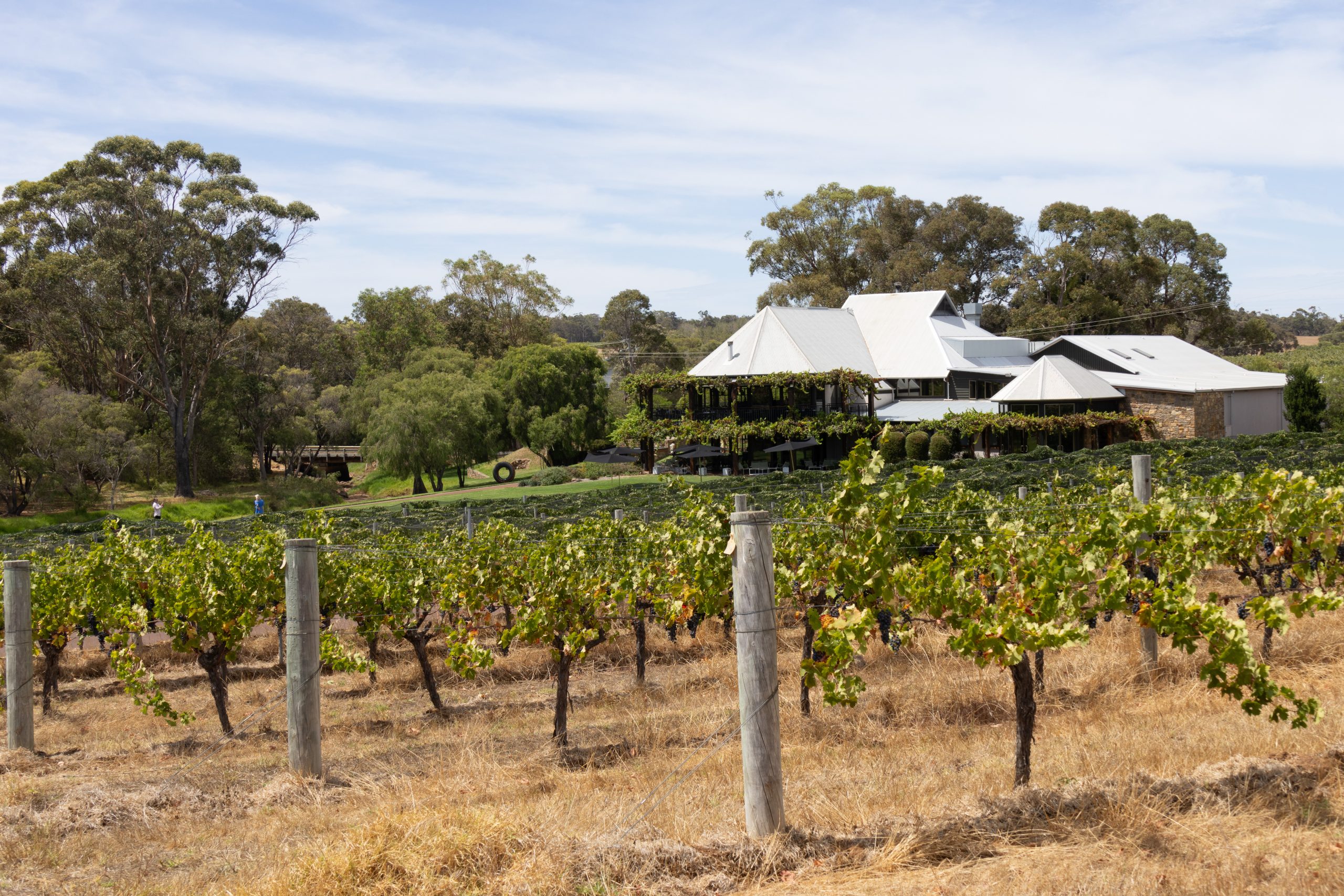 Vasse Felix - Cowaramup - Western Australia - Australia
