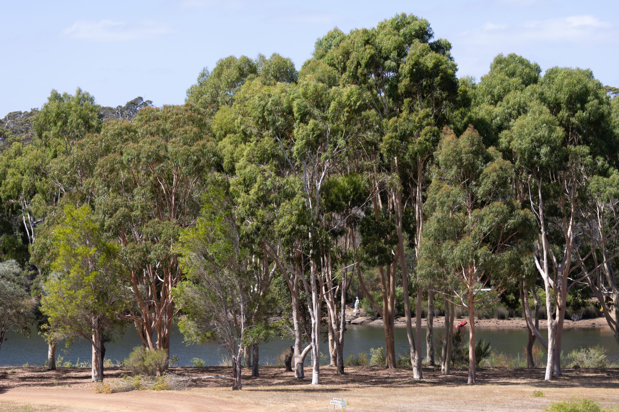 Mr Barval - Redgate - Western Australia - Australia