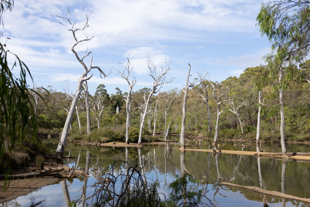 Warperup Creek - Margaret River - Western Australia - Australia