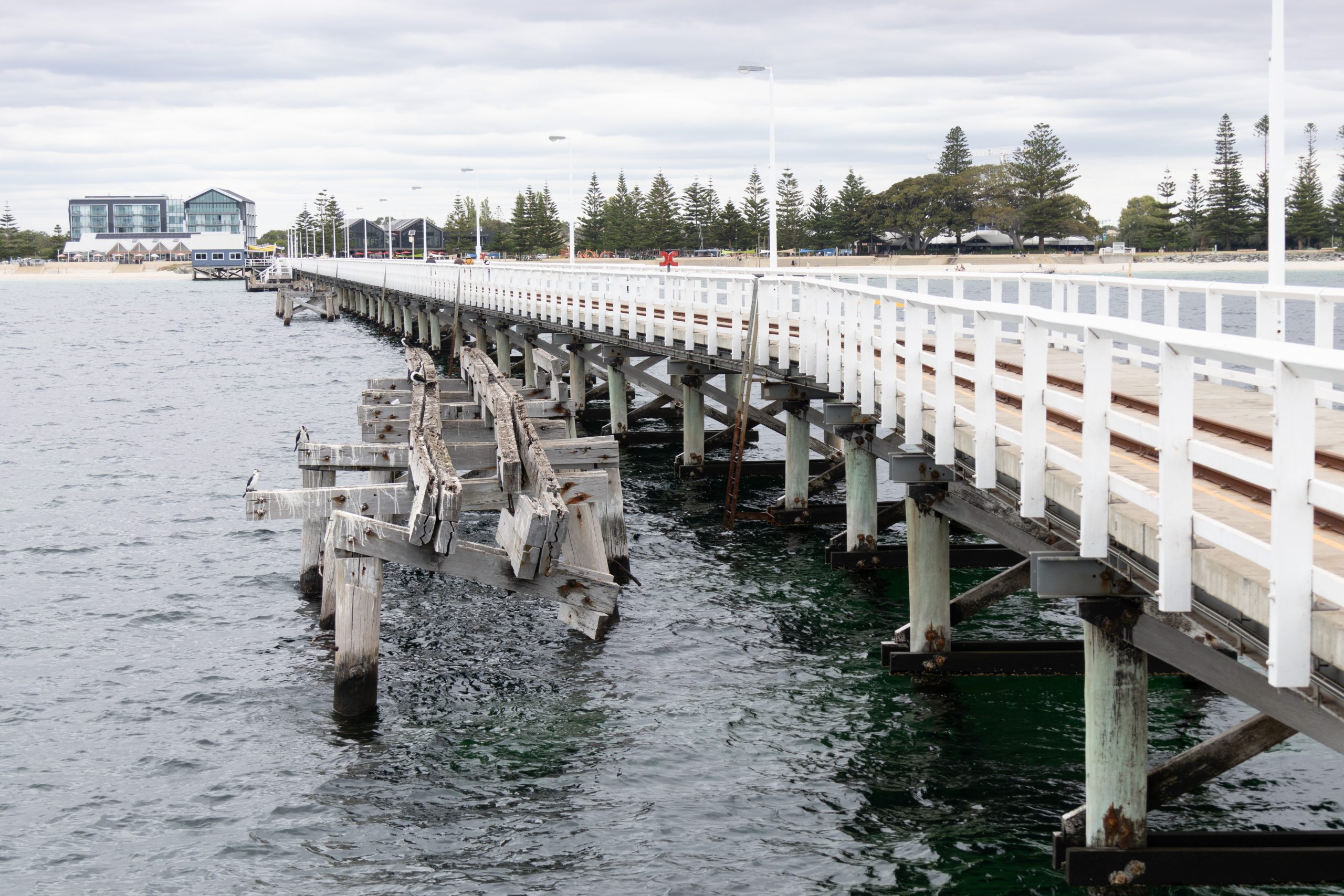 Busselton Jetty - Busselton - Western Australia - Australia