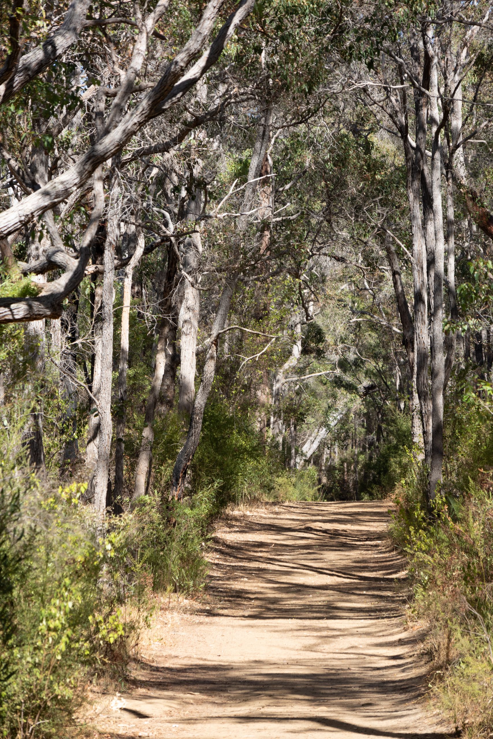 Warperup Creek - Margaret River - Western Australia - Australia