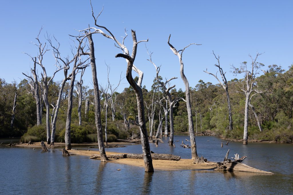 Warperup Creek - Margaret River - Western Australia - Australia
