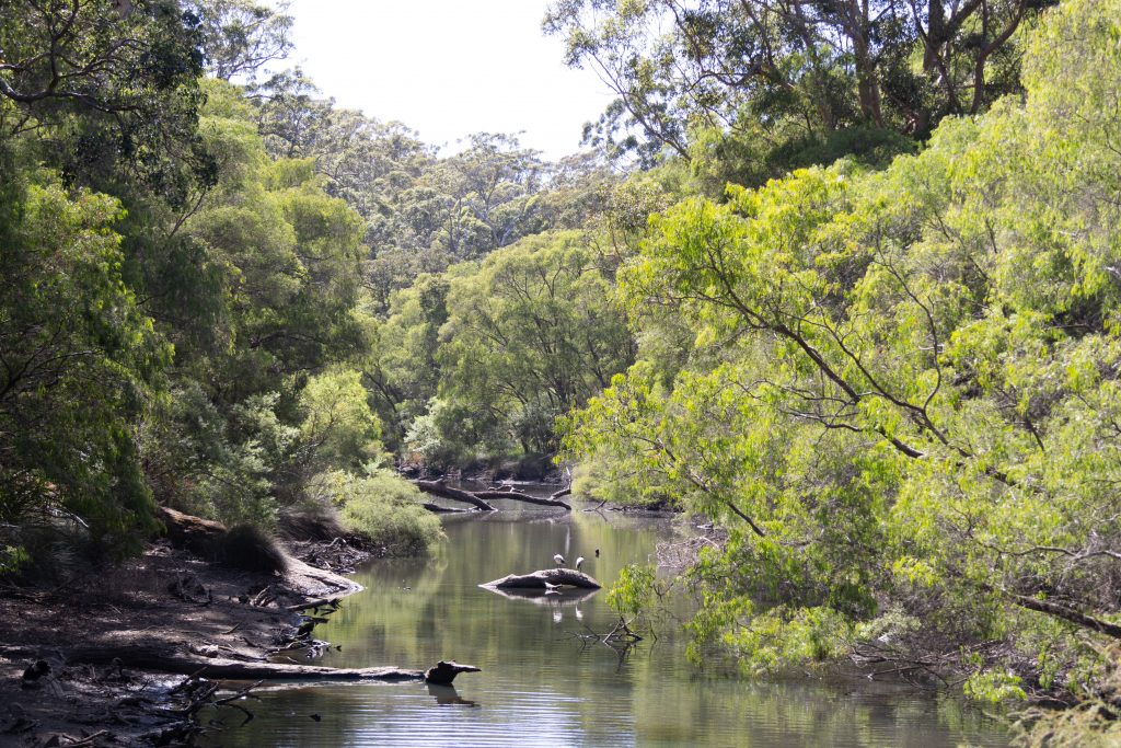 Margaret River - Margaret River - Western Australia - Australia