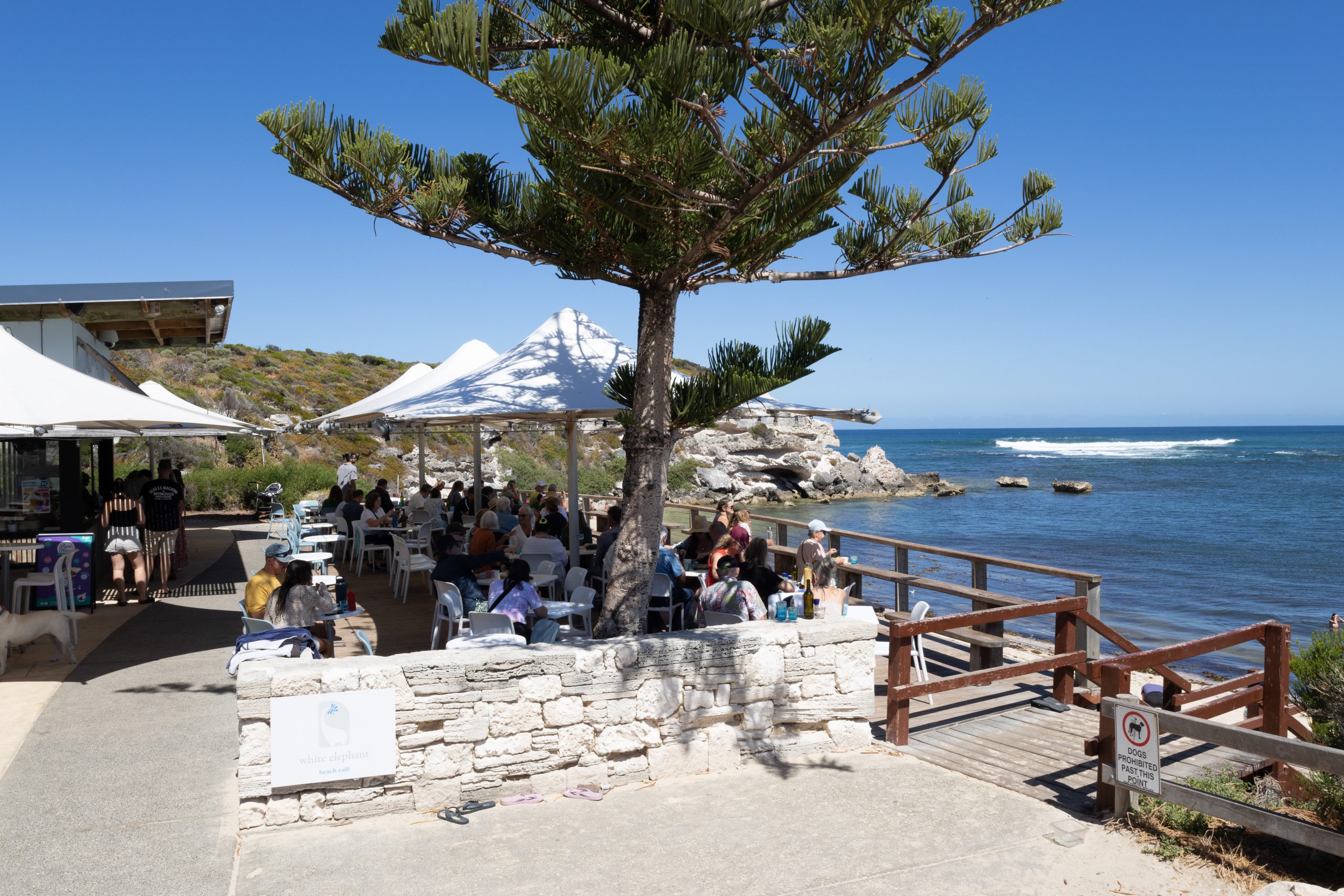 White Elephant - Gnarabup - Western Australia - Australia