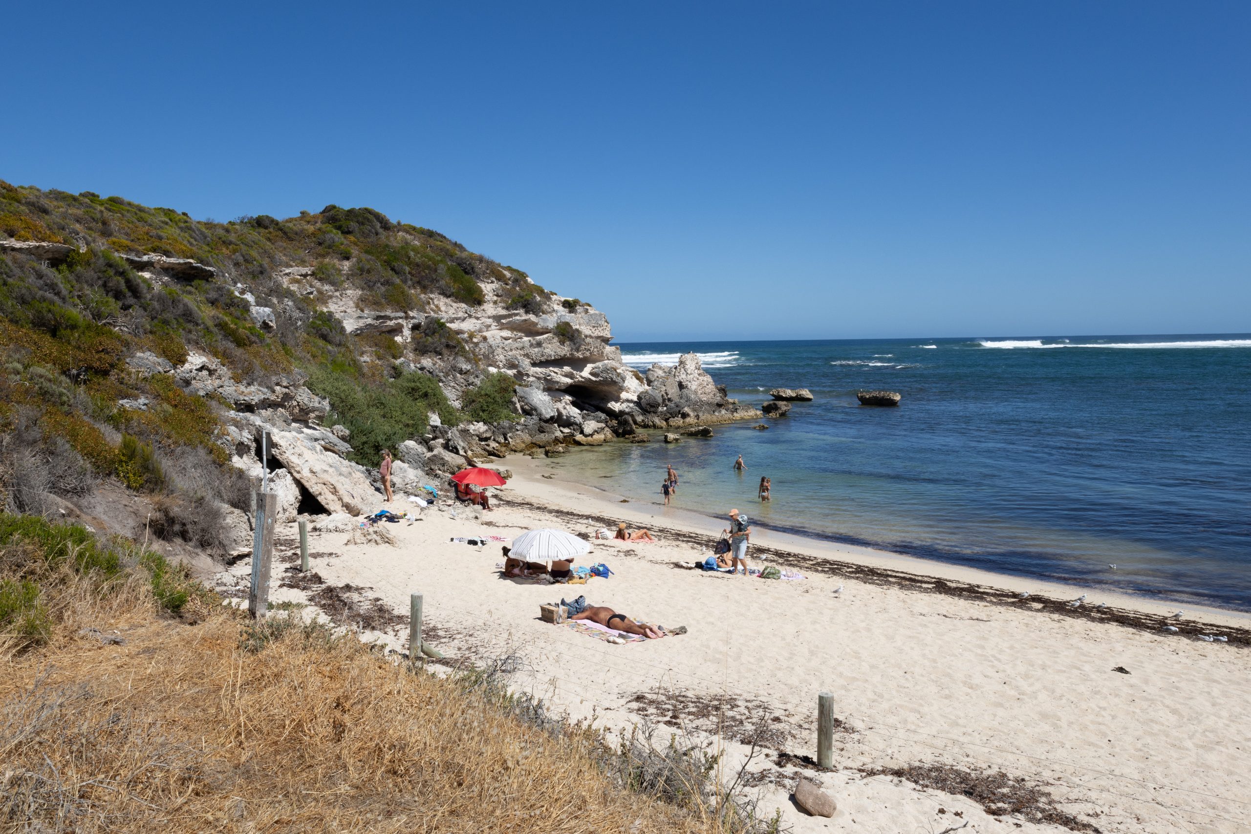 White Elephant - Gnarabup - Western Australia - Australia