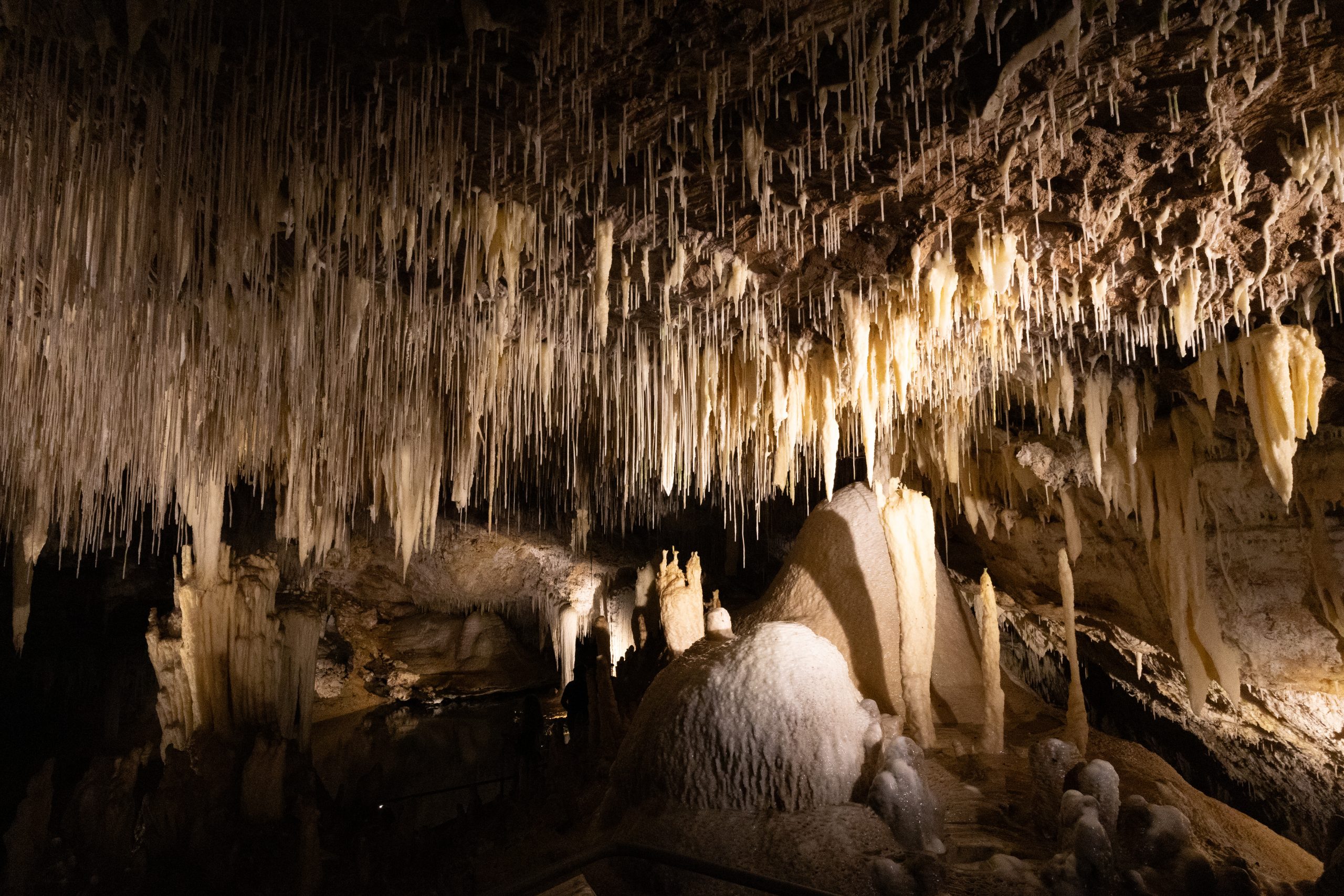 Lake Cave - Boranup - Western Australia - Australia