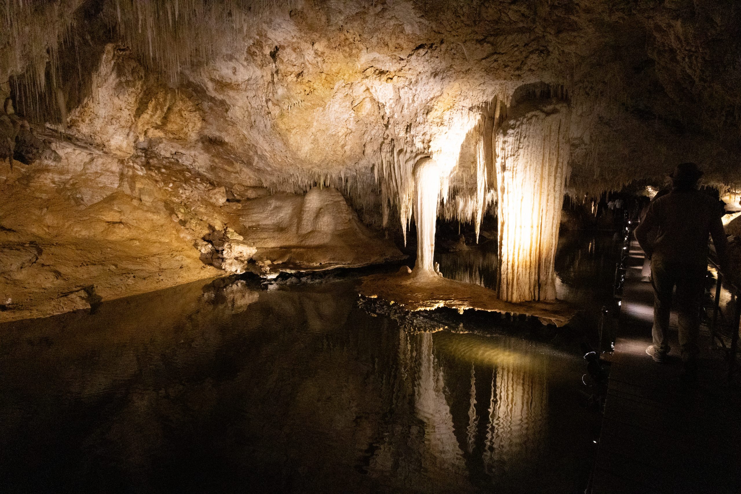 Lake Cave - Boranup - Western Australia - Australia