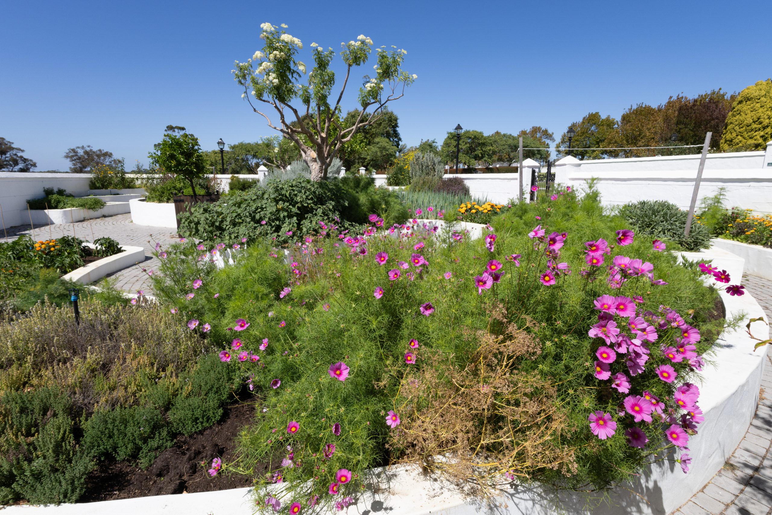 Voyager Estate - Margaret River - Western Australia - Australia