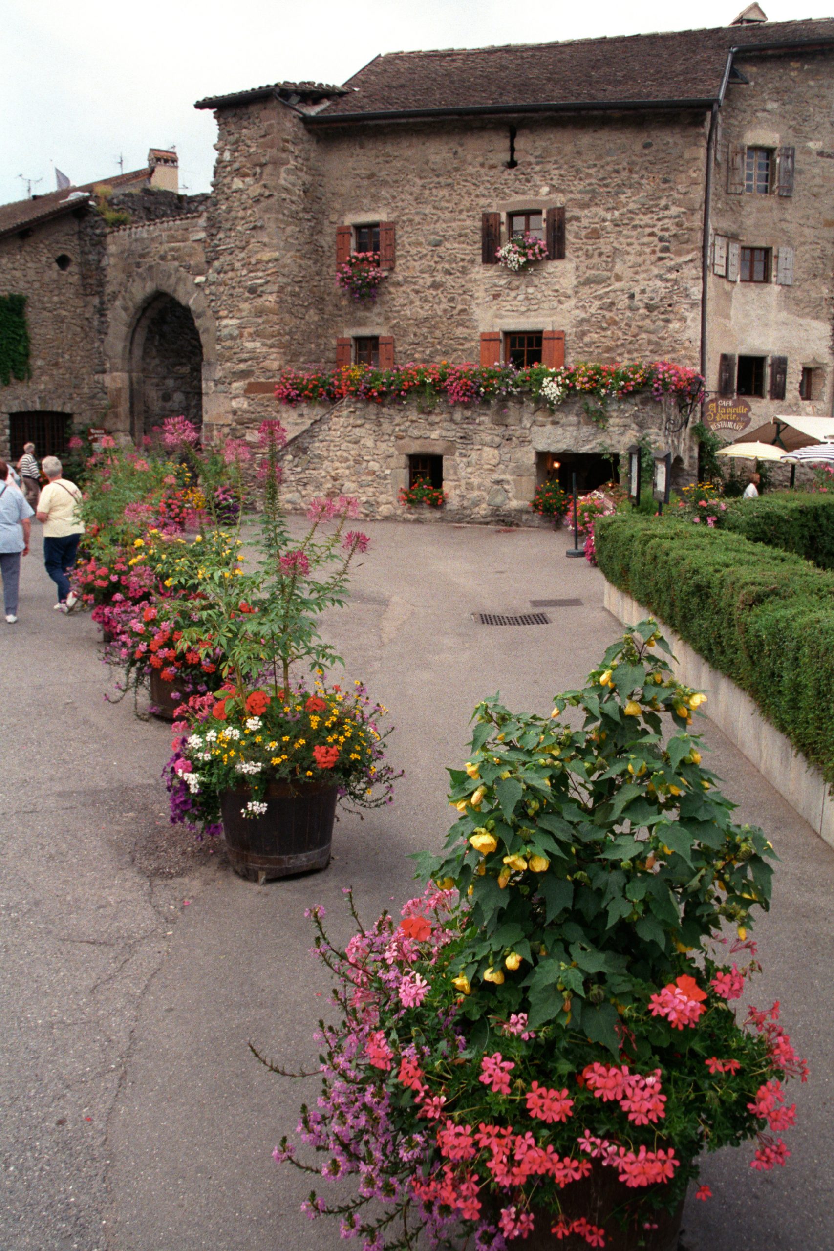 - Yvoire - Auvergne-Rhône-Alpes - France