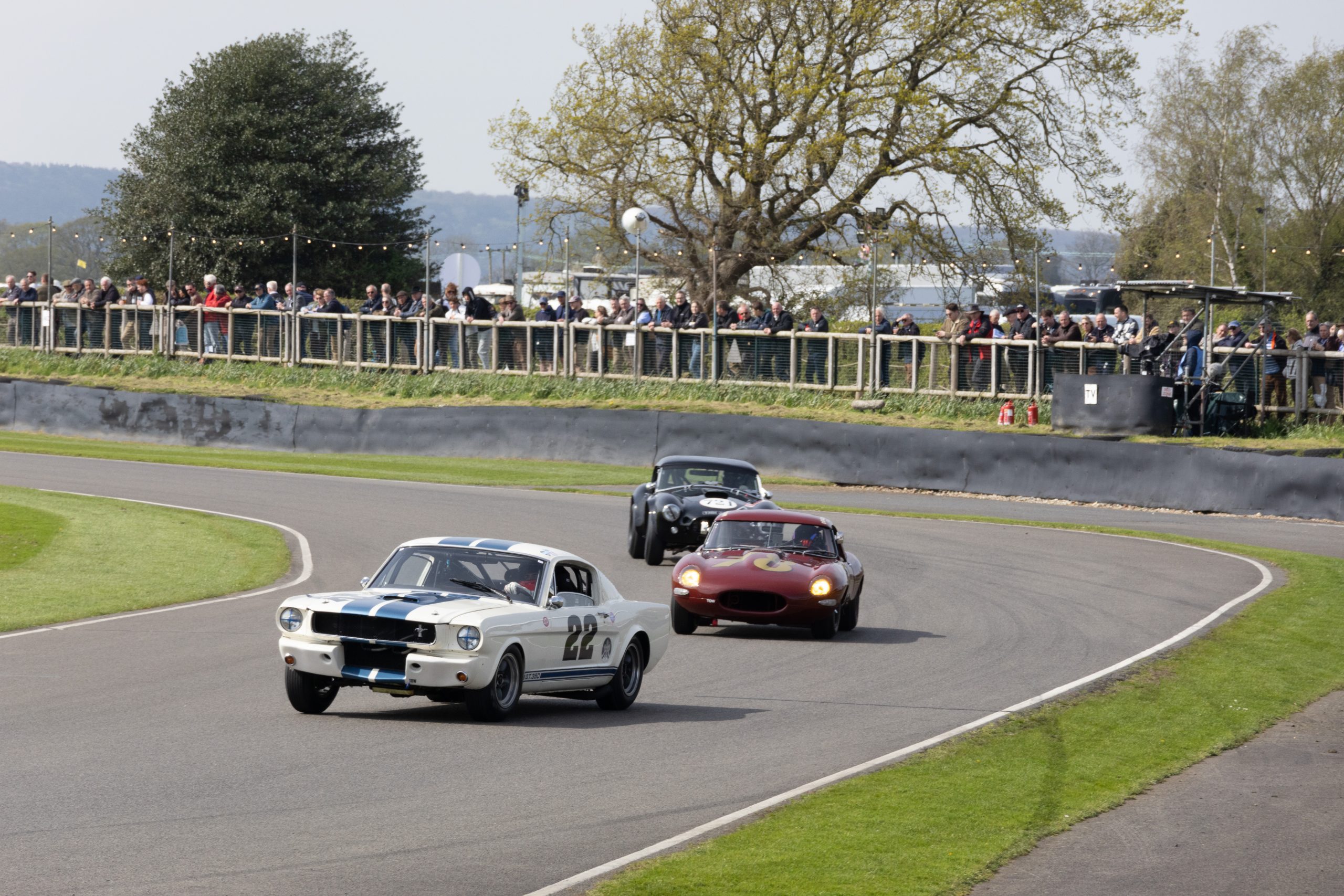 Goodwood Motor Circuit - Chichester - West Sussex - England