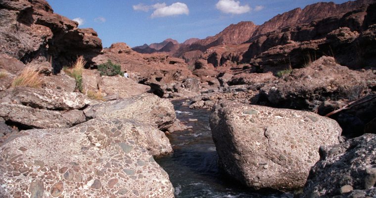 Hatta 1998