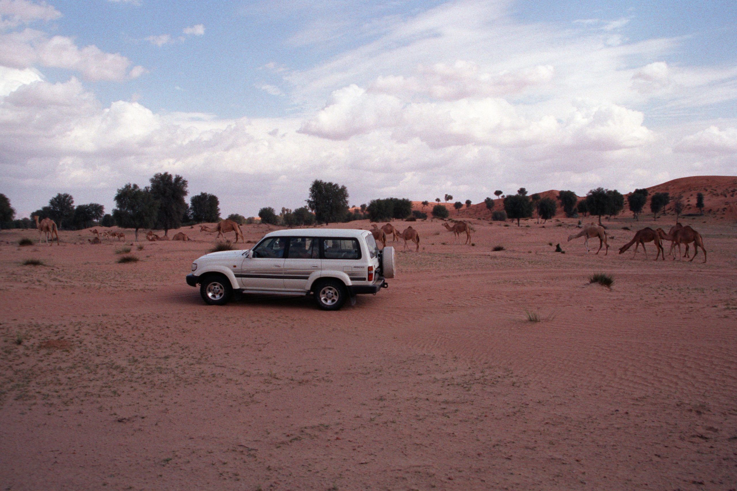 - Desert - Dubai - UAE