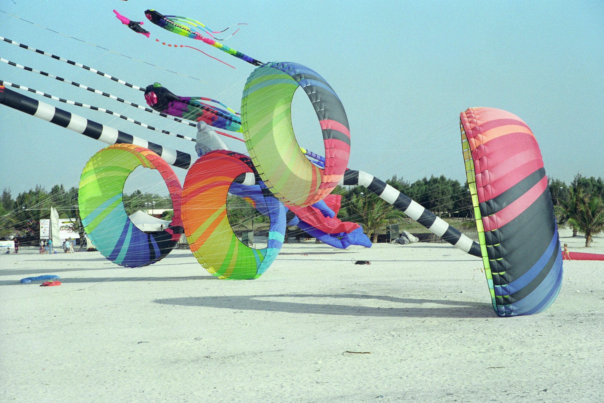Dubai Kite Festival - Dubai - Dubai - UAE