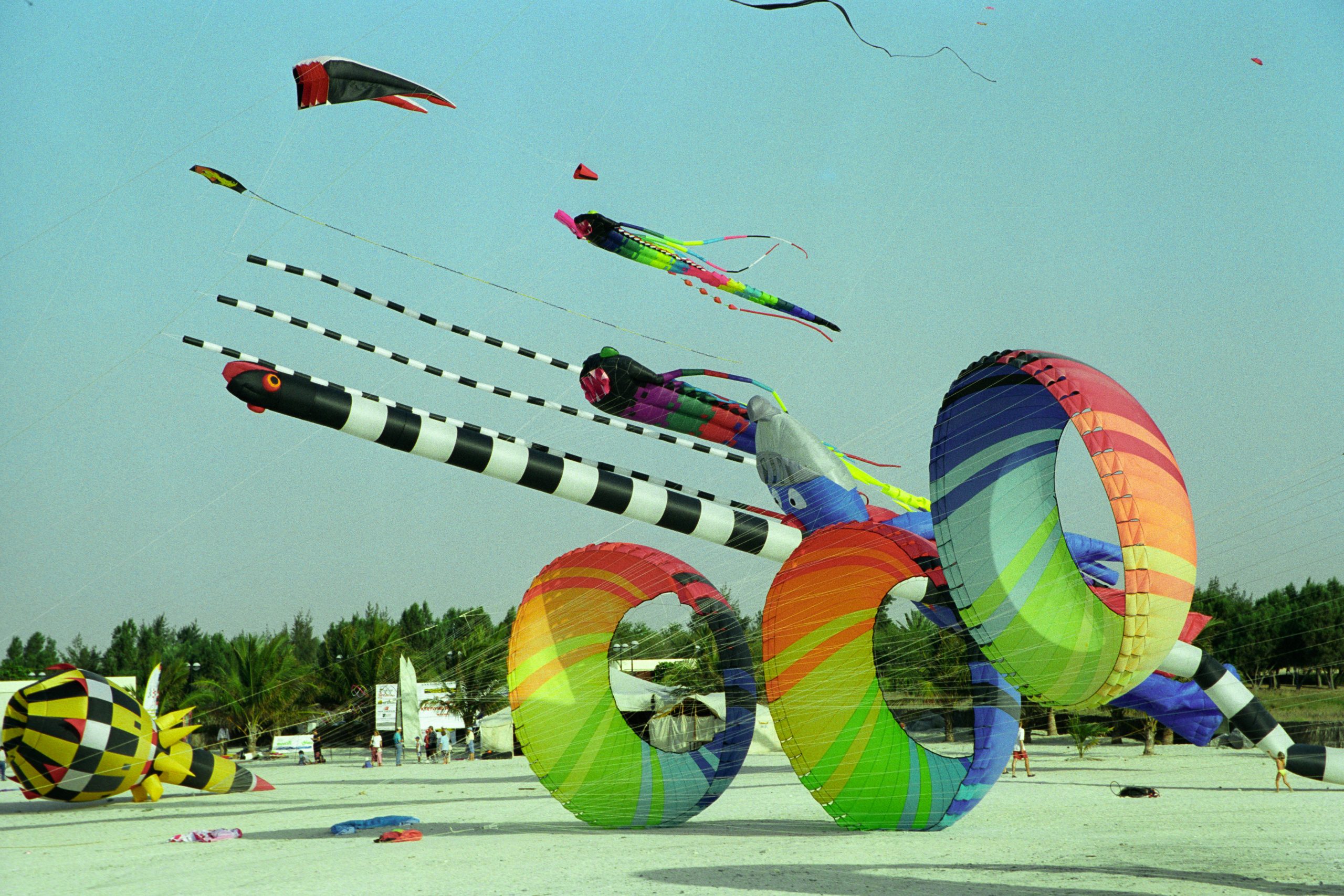 Dubai Kite Festival - Dubai - Dubai - UAE