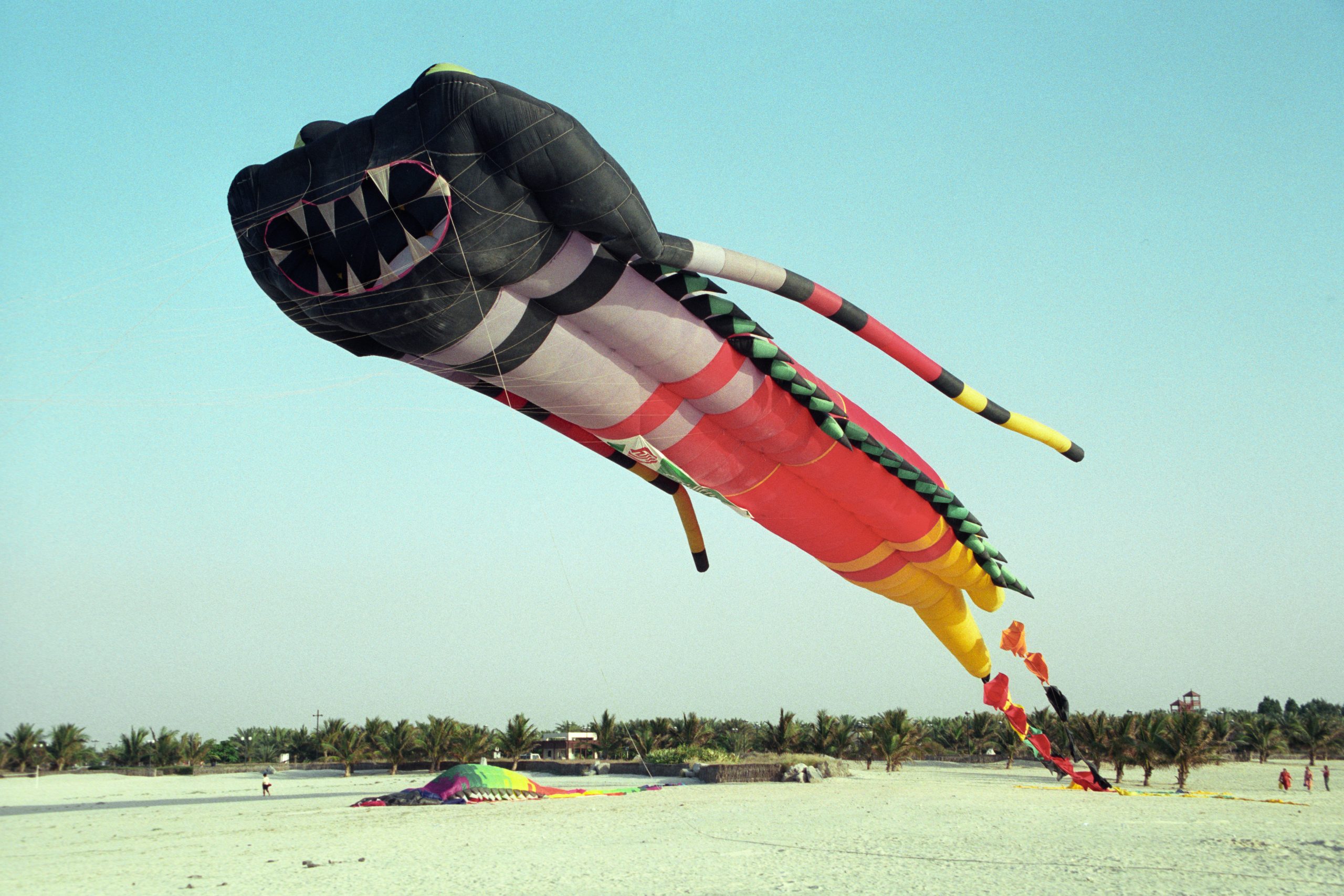 Dubai Kite Festival - Dubai - Dubai - UAE