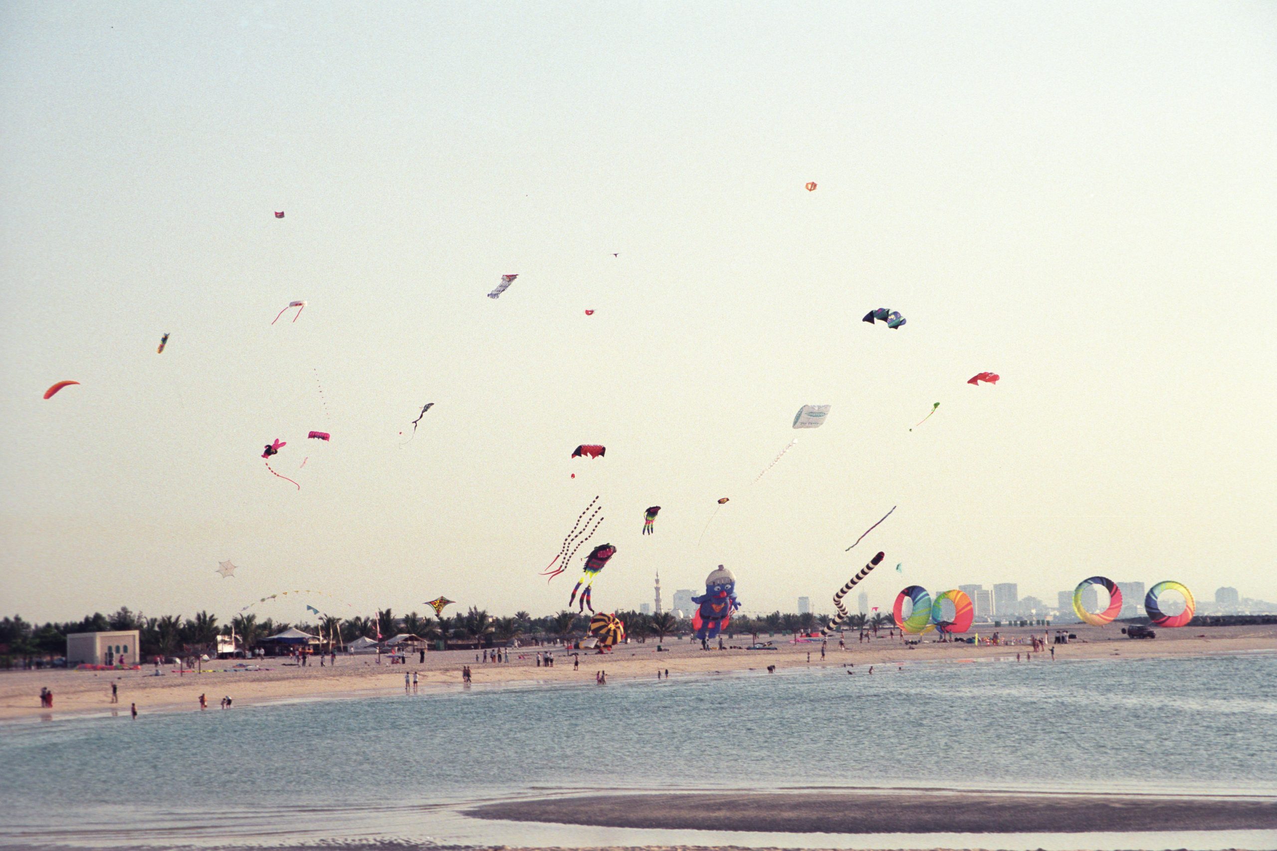 Dubai Kite Festival - Dubai - Dubai - UAE