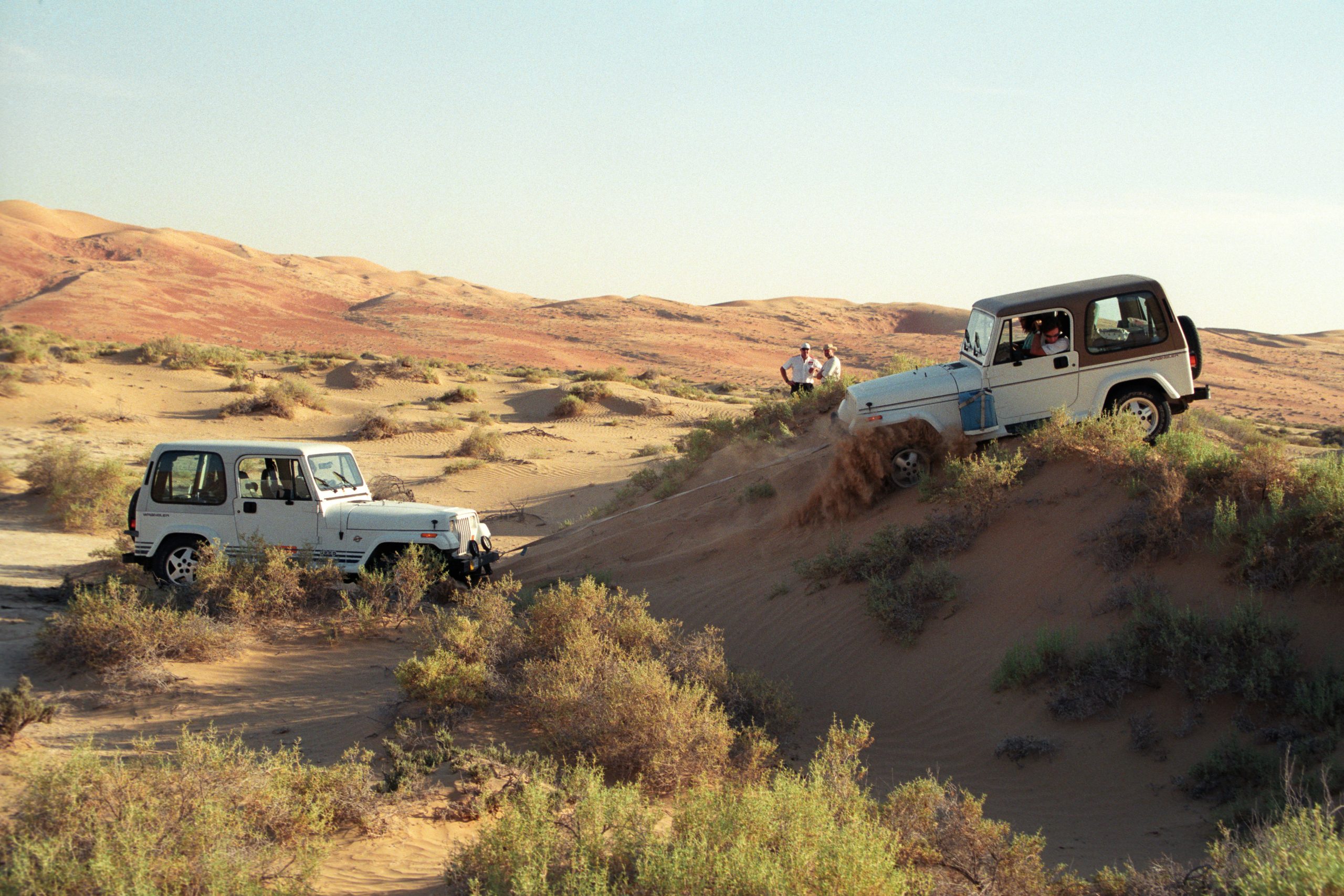 - Desert - Abu Dhabi - UAE